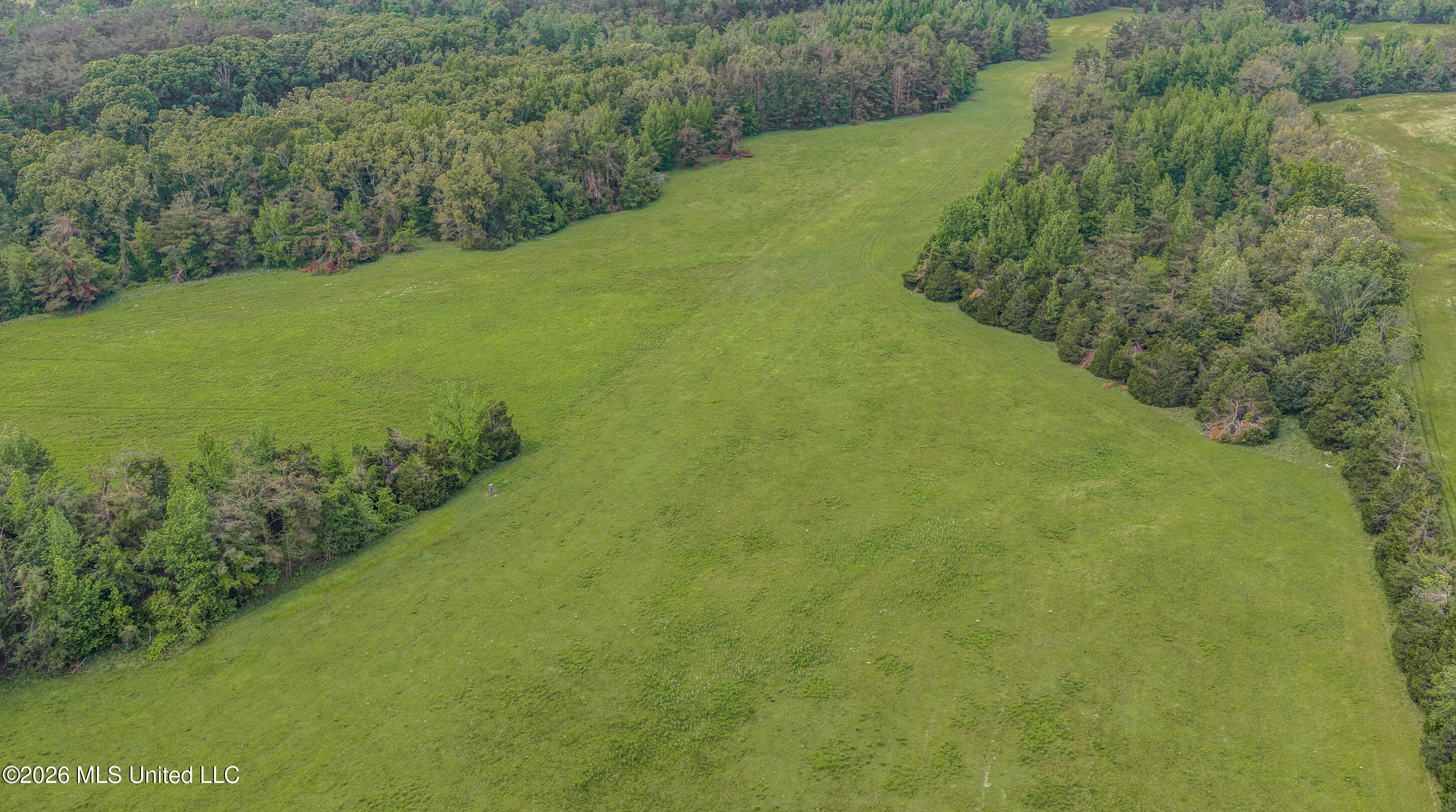 County Road 222 Property Photo 18