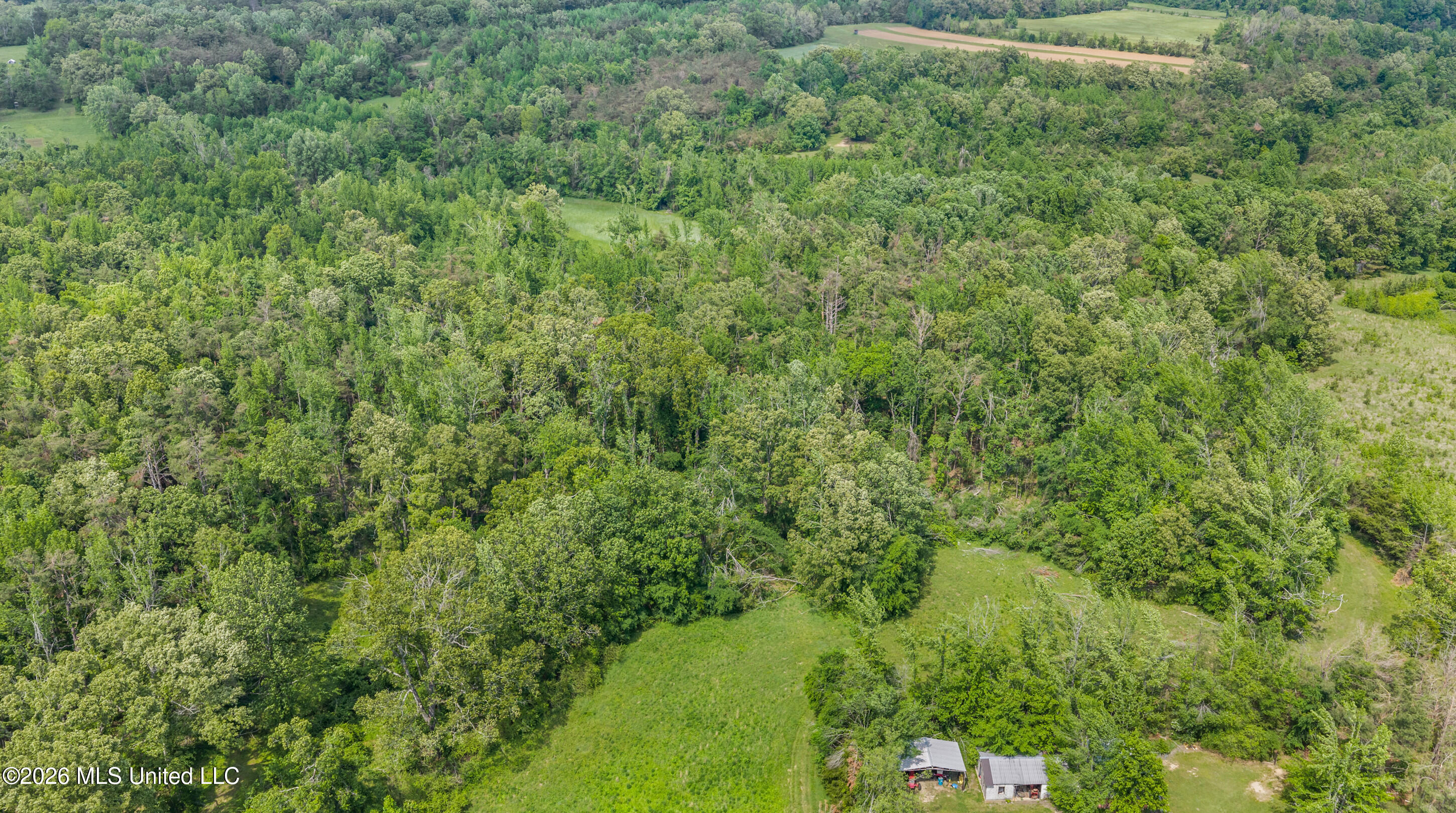 County Road 222 Property Photo 24