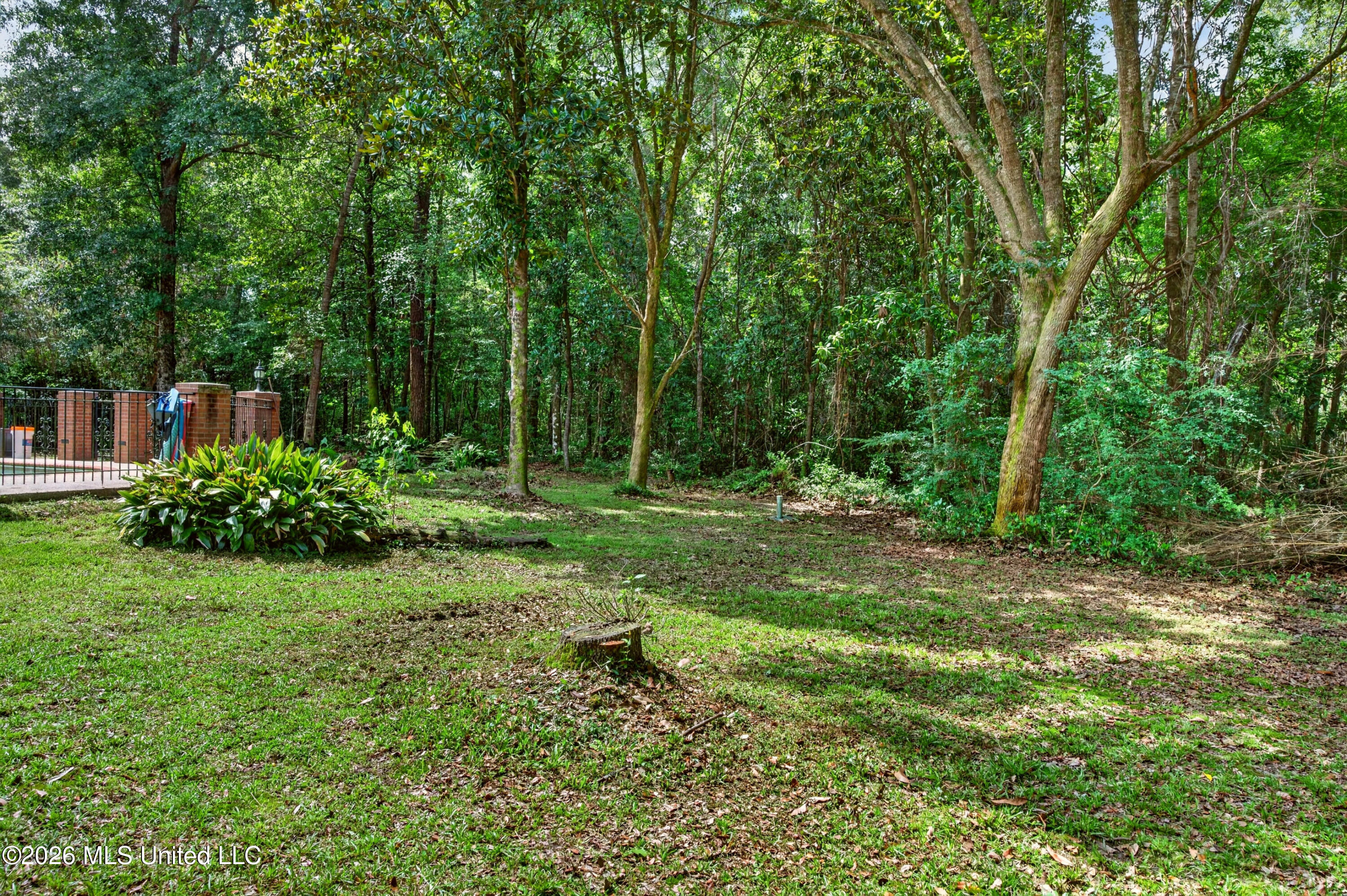 13293 Riverland Drive Property Photo 29