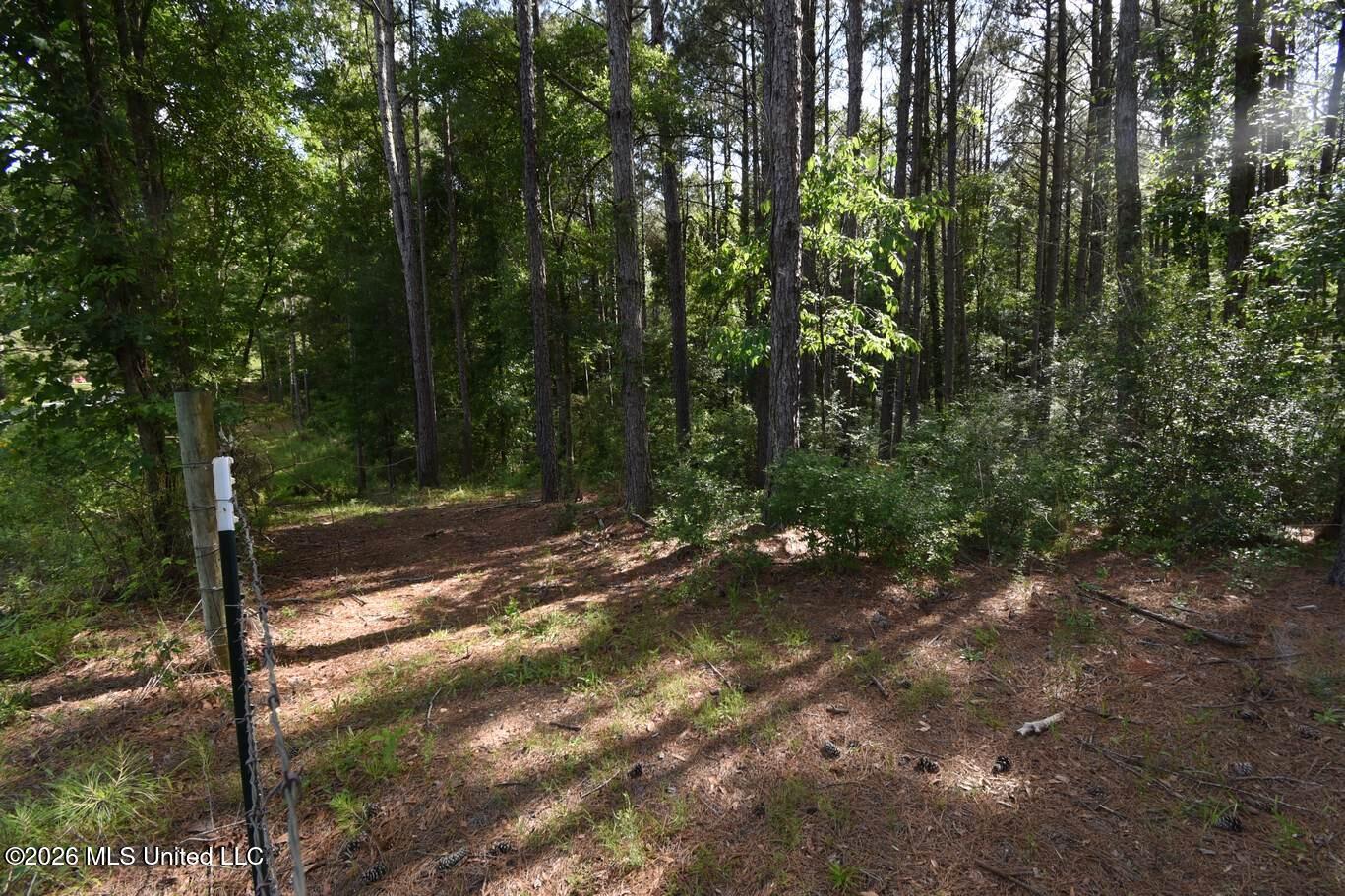 00 Miller Road Property Photo 6