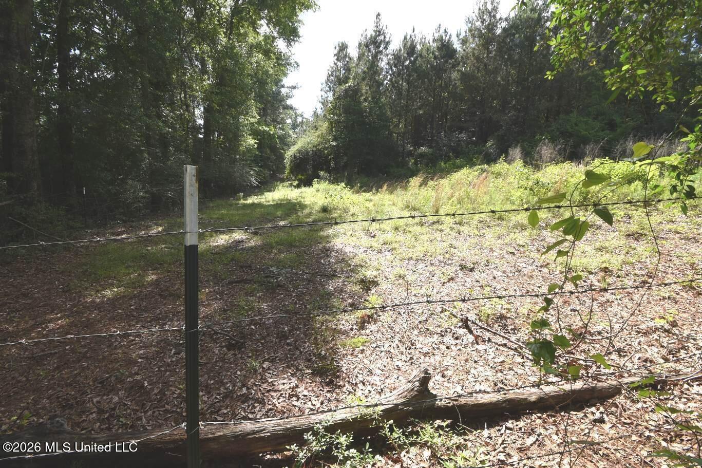 00 Miller Road Property Photo 8