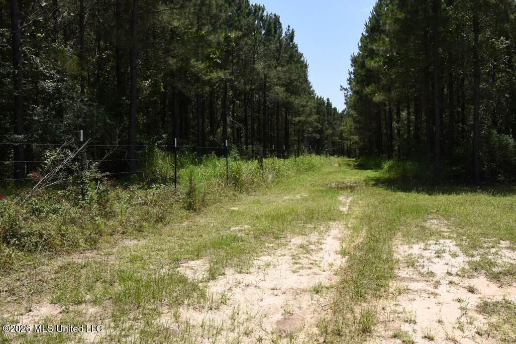 00 Miller Road Property Photo 11