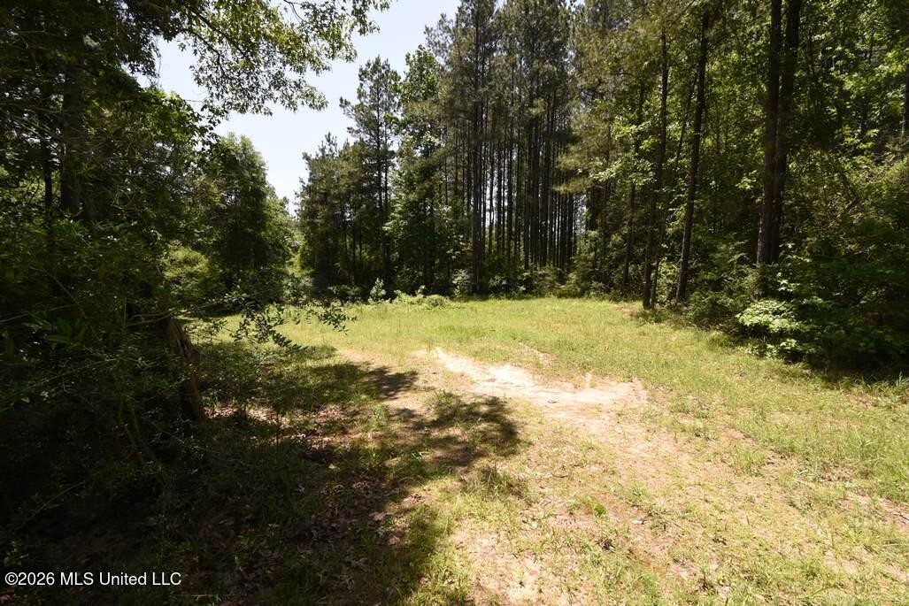00 Miller Road Property Photo 15