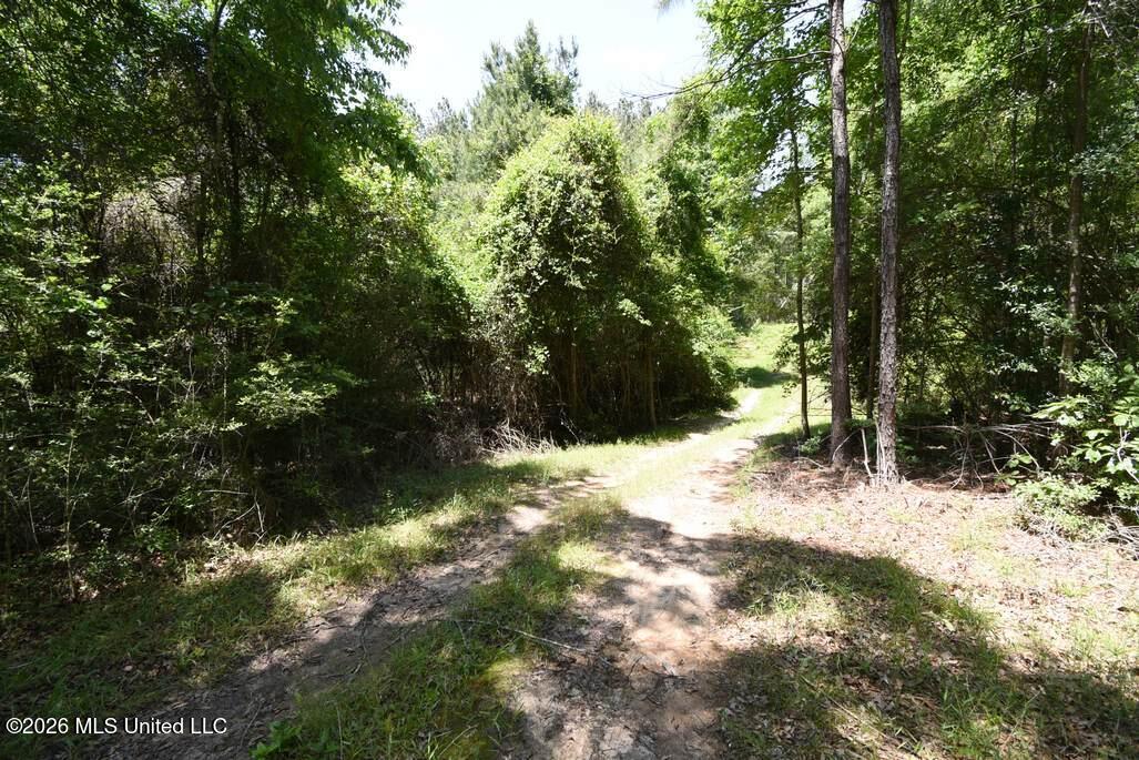 00 Miller Road Property Photo 16
