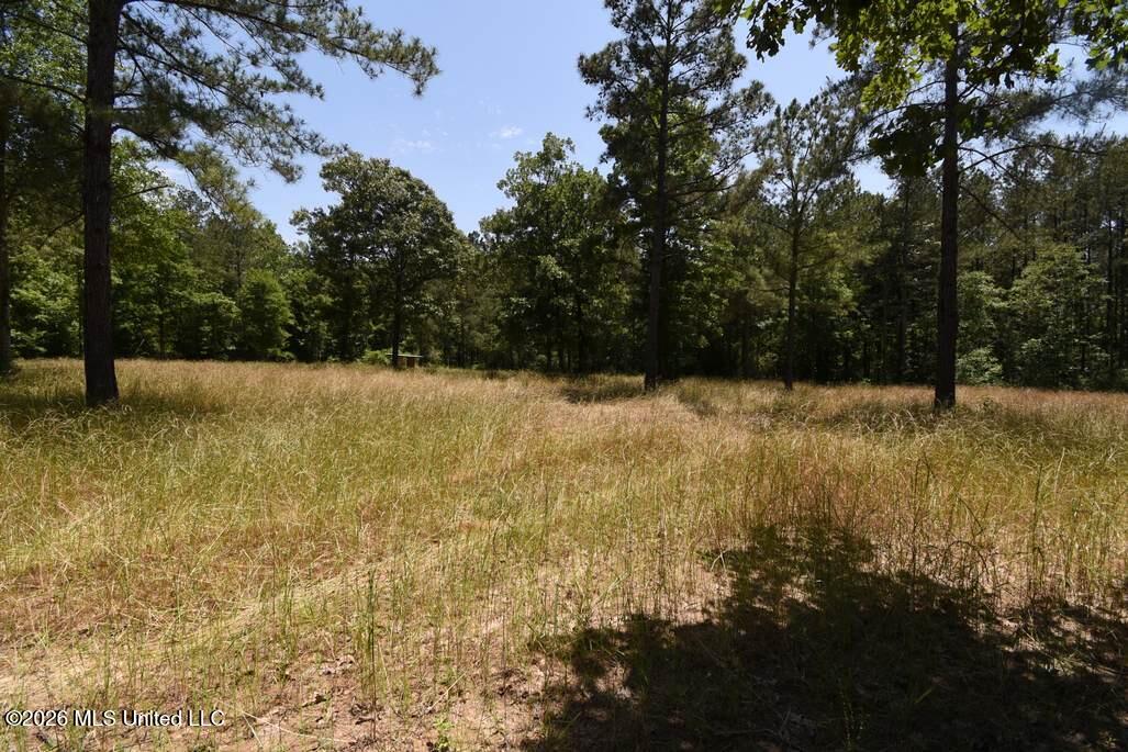 00 Miller Road Property Photo 17