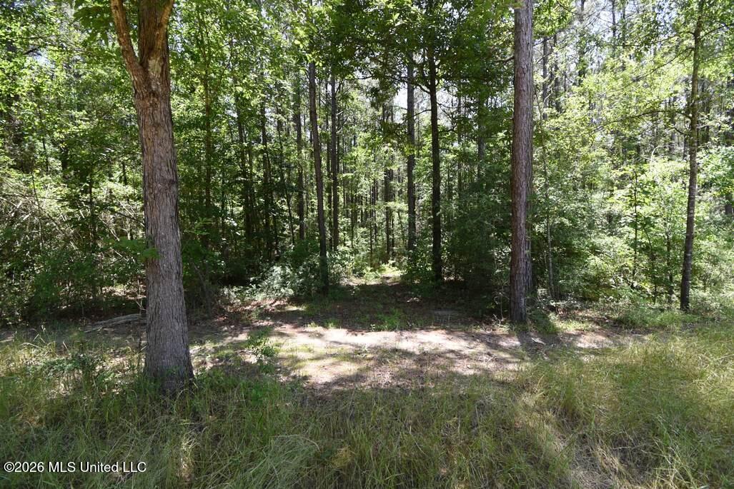 00 Miller Road Property Photo 18