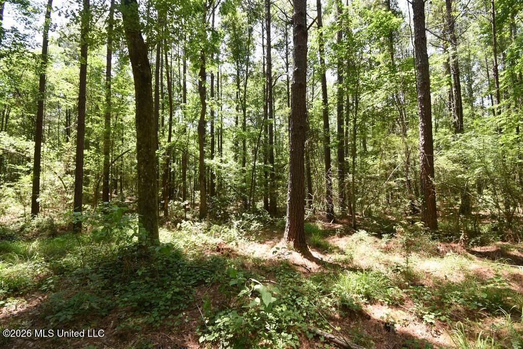 00 Miller Road Property Photo 19