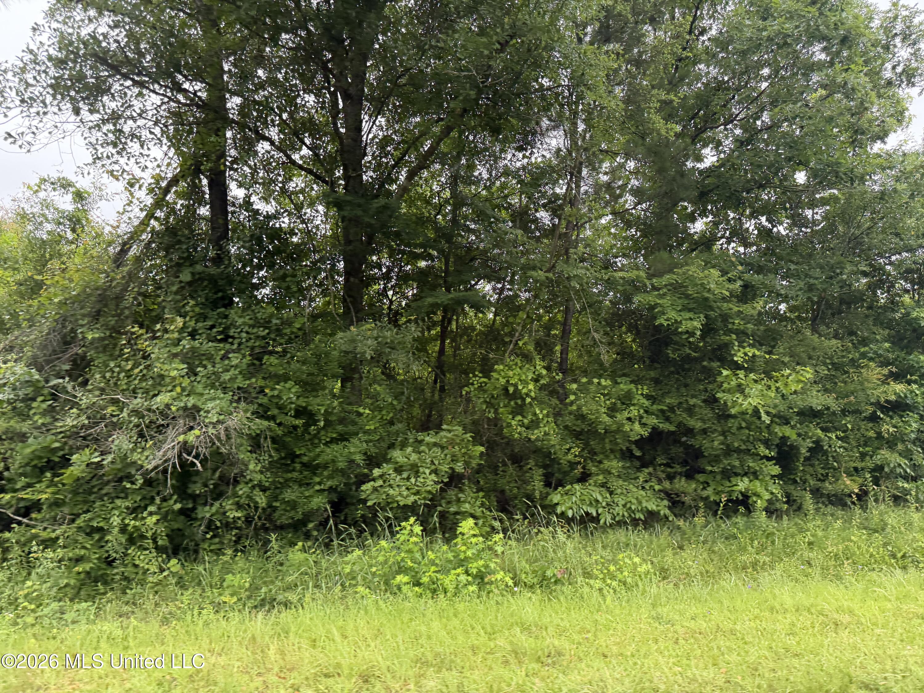 N River Road Property Photo 3