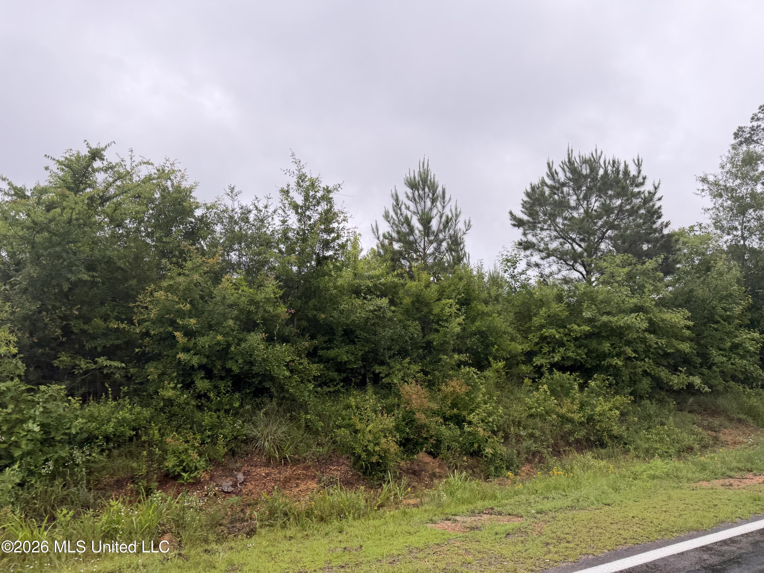 N River Road Property Photo 5
