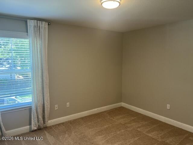 12 Sweetgrass Lane Property Photo 16