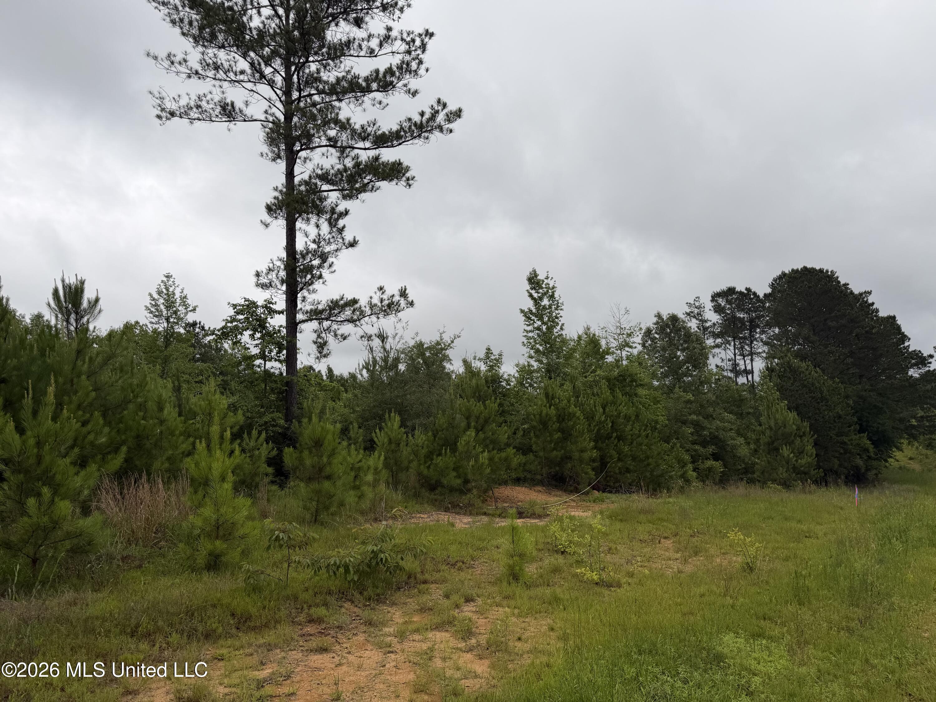 Shell Oil Road Property Photo 1