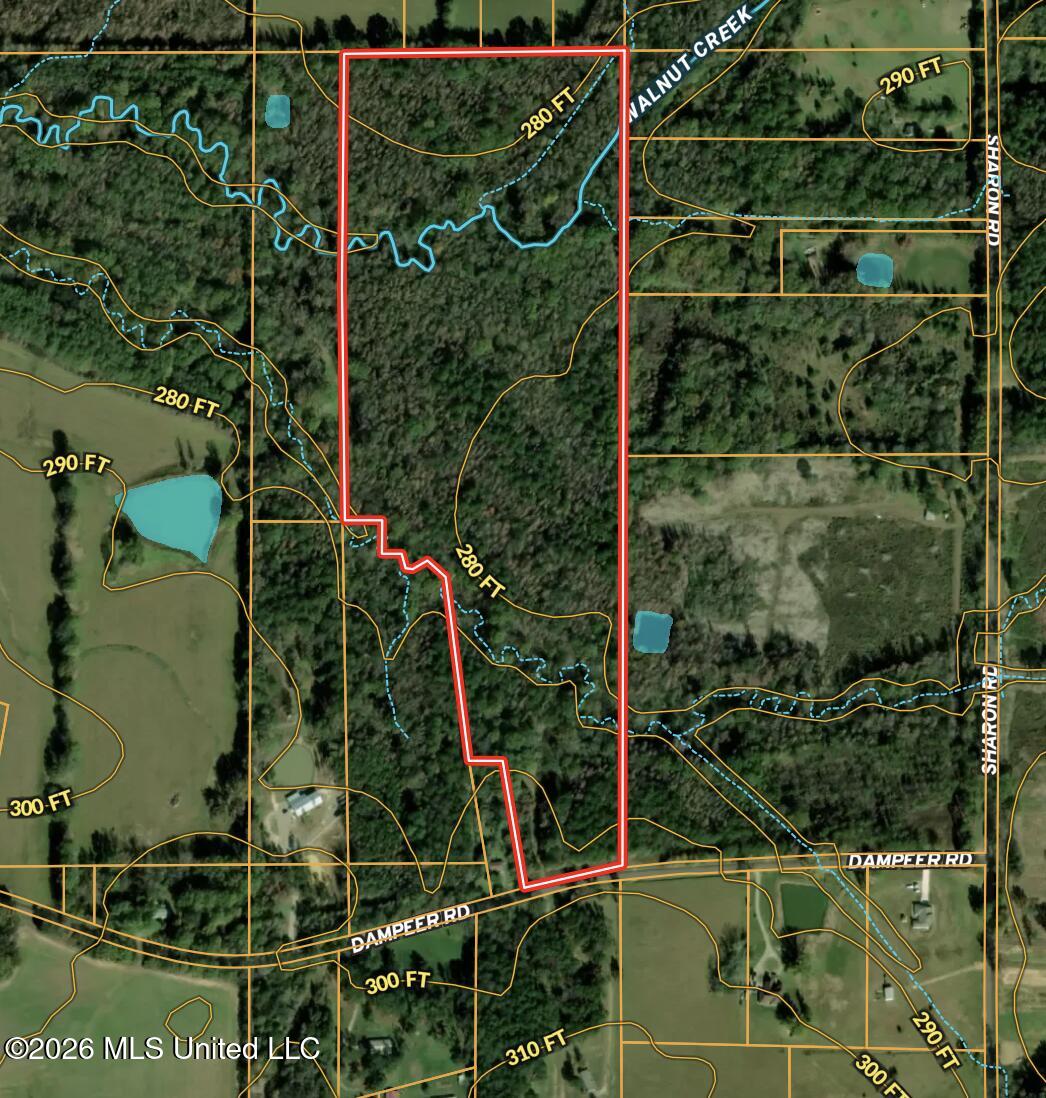 0 Dampeer Road Property Photo 2