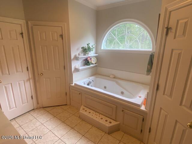 801 U.s. 84 Property Photo 10