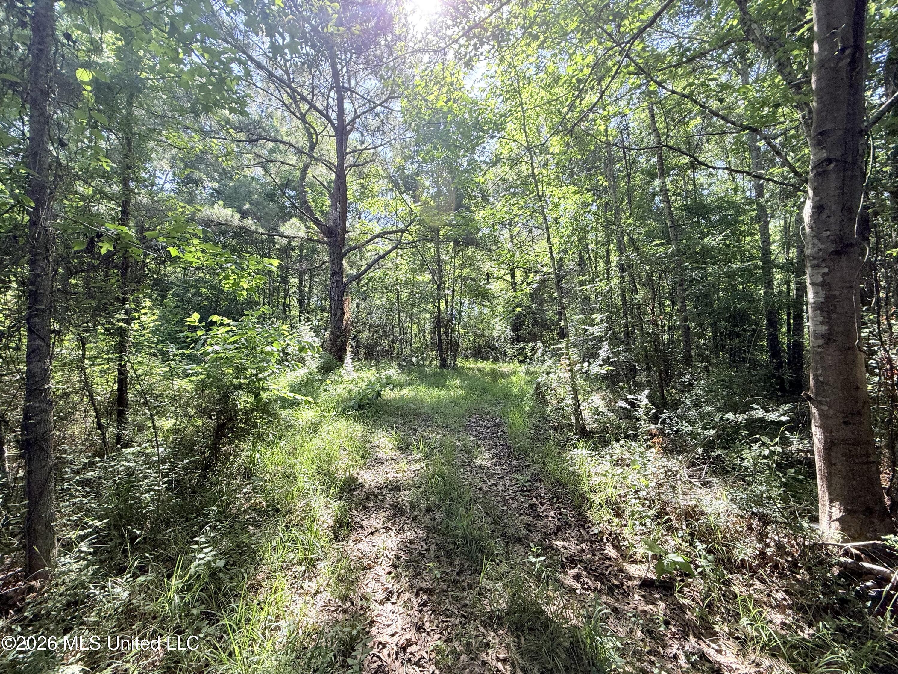 Jackson Liberty Drive Property Photo 2