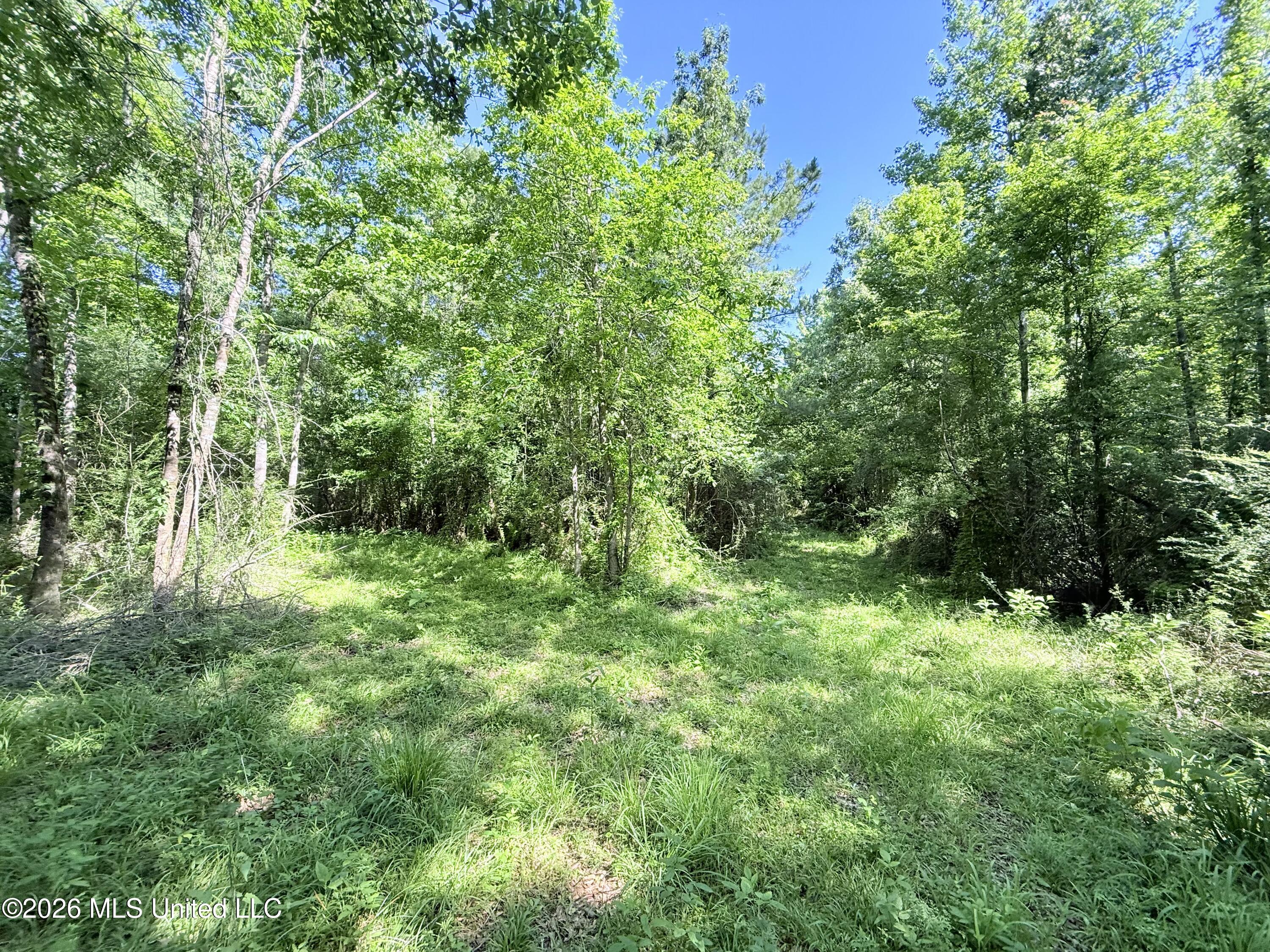 Jackson Liberty Drive Property Photo 3