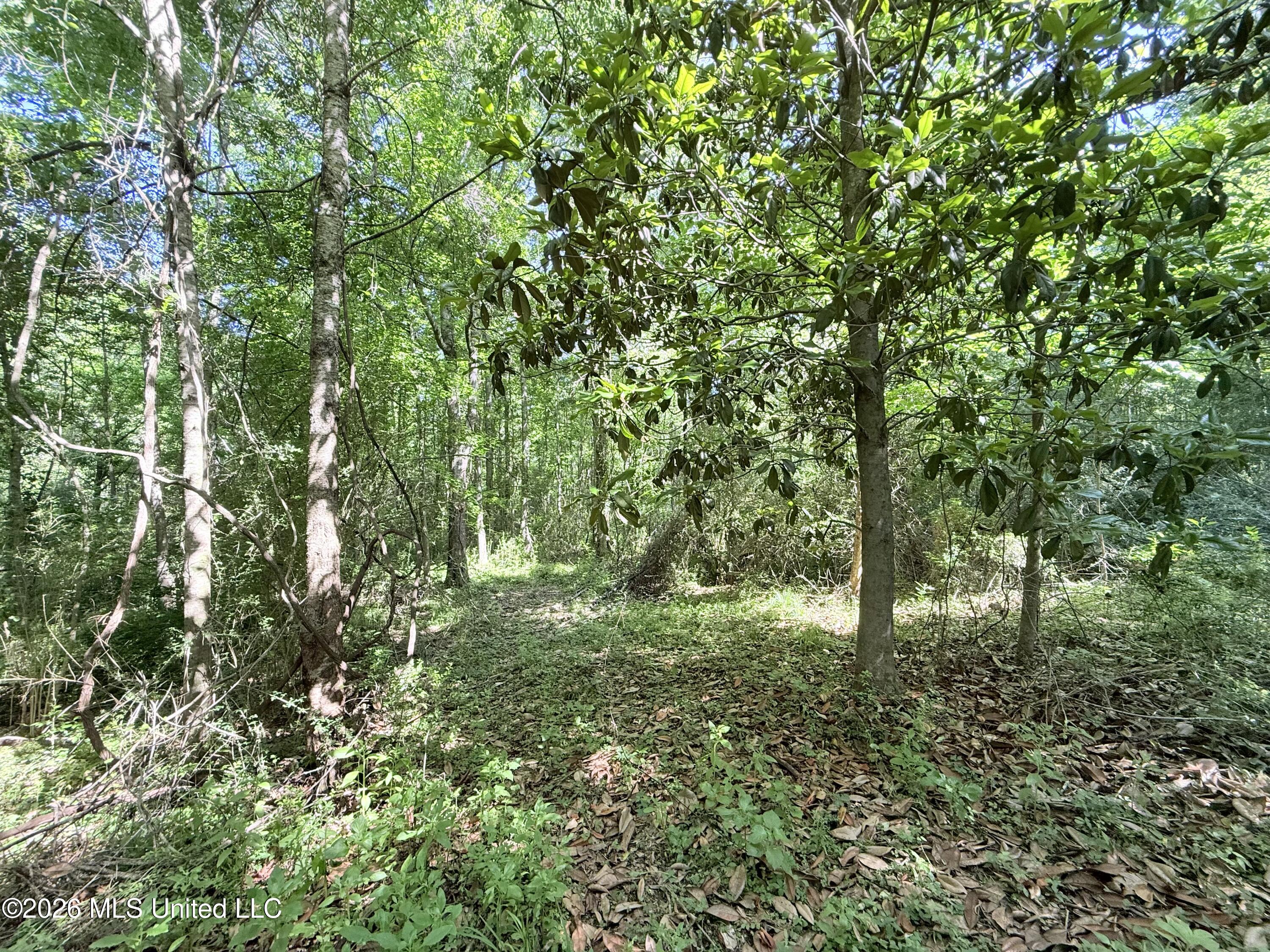 Jackson Liberty Drive Property Photo 4