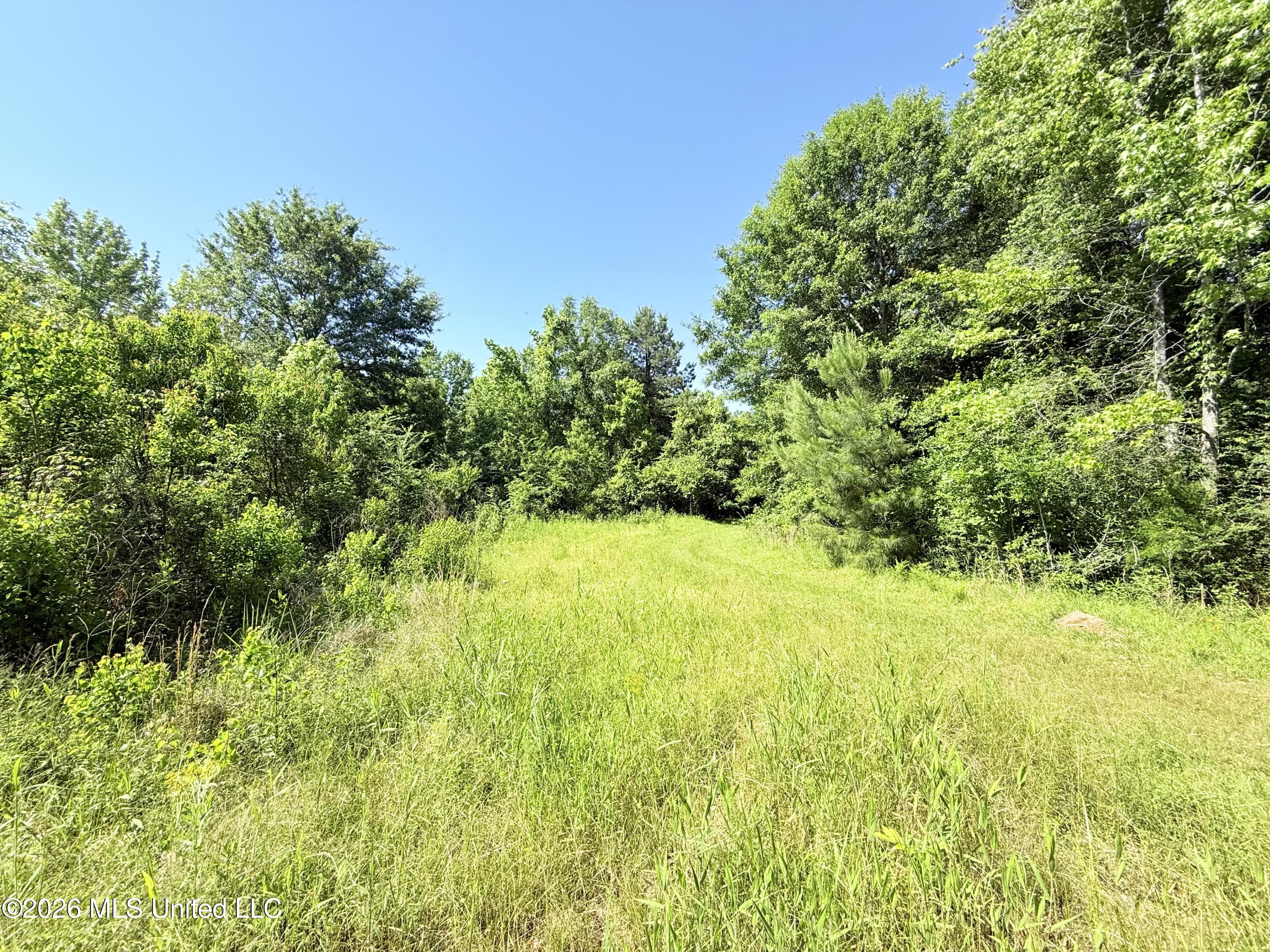 Jackson Liberty Drive Property Photo 7