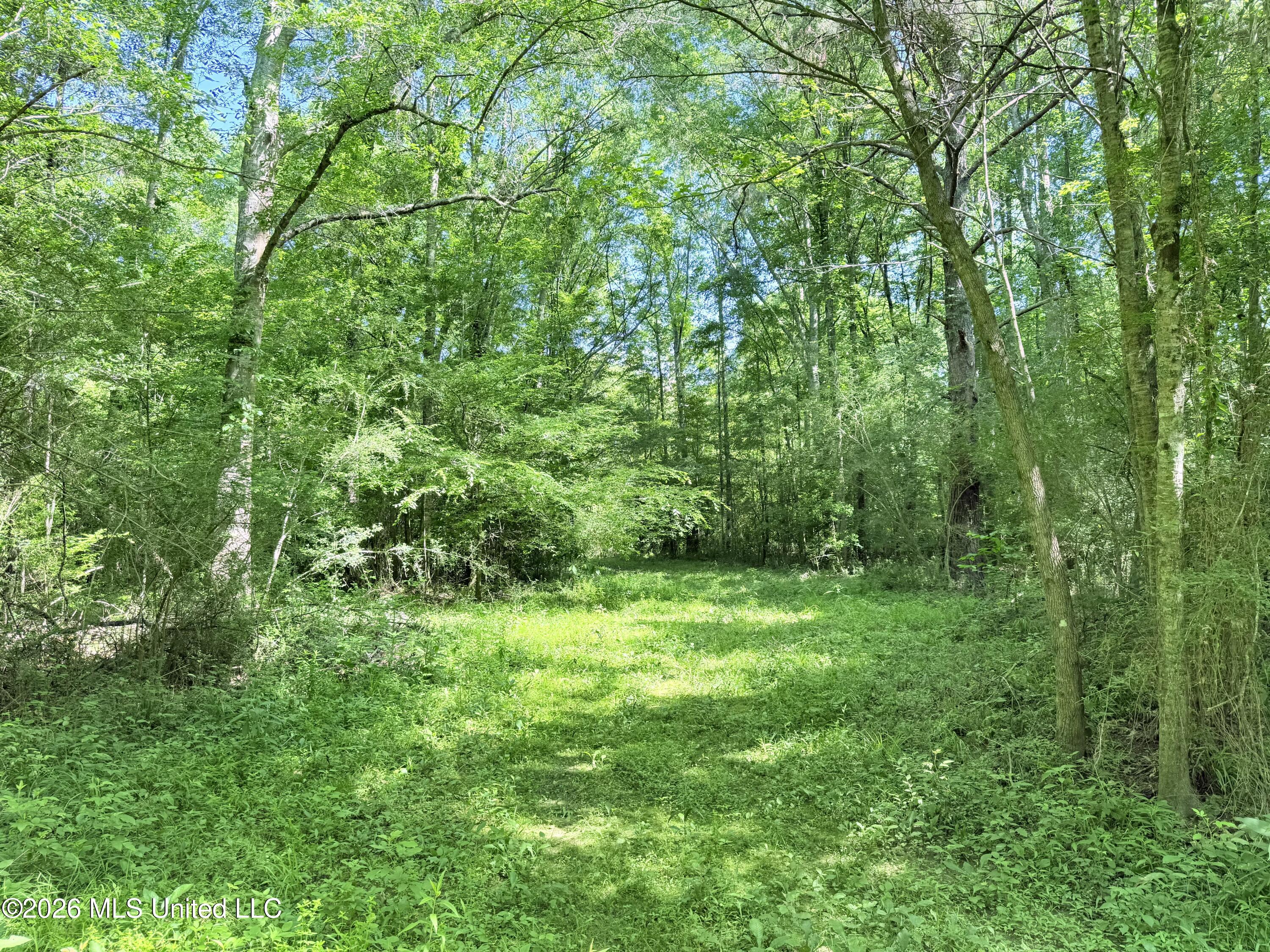 Jackson Liberty Drive Property Photo 10