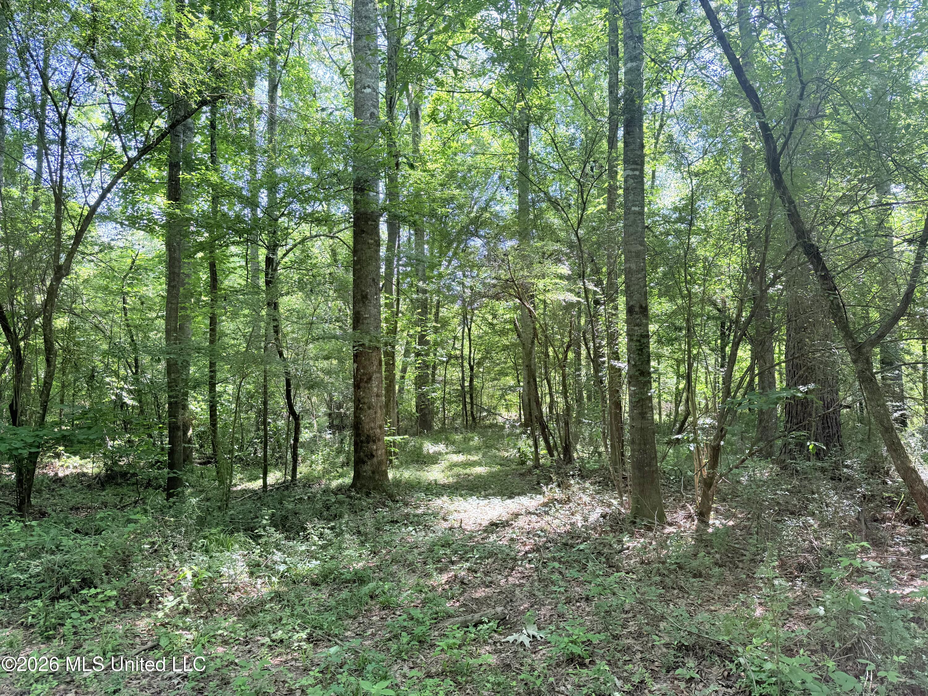 Jackson Liberty Drive Property Photo 11