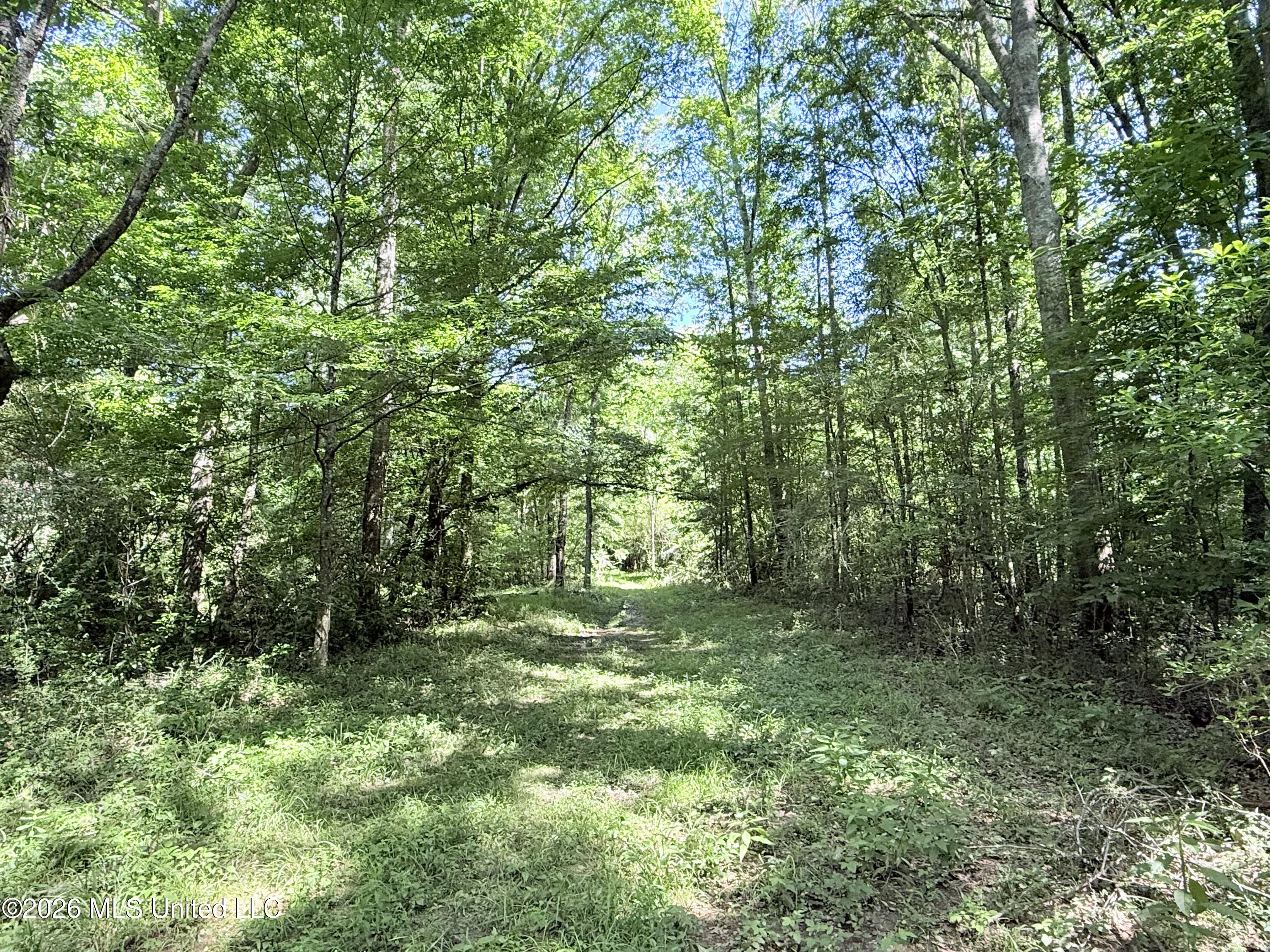 Jackson Liberty Drive Property Photo 12