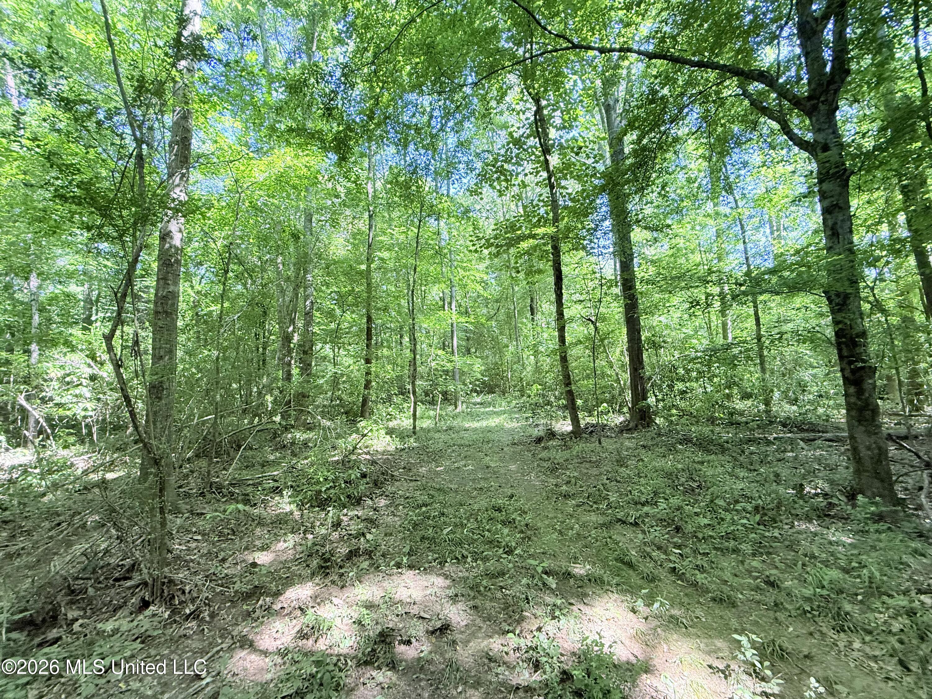 Jackson Liberty Drive Property Photo 13