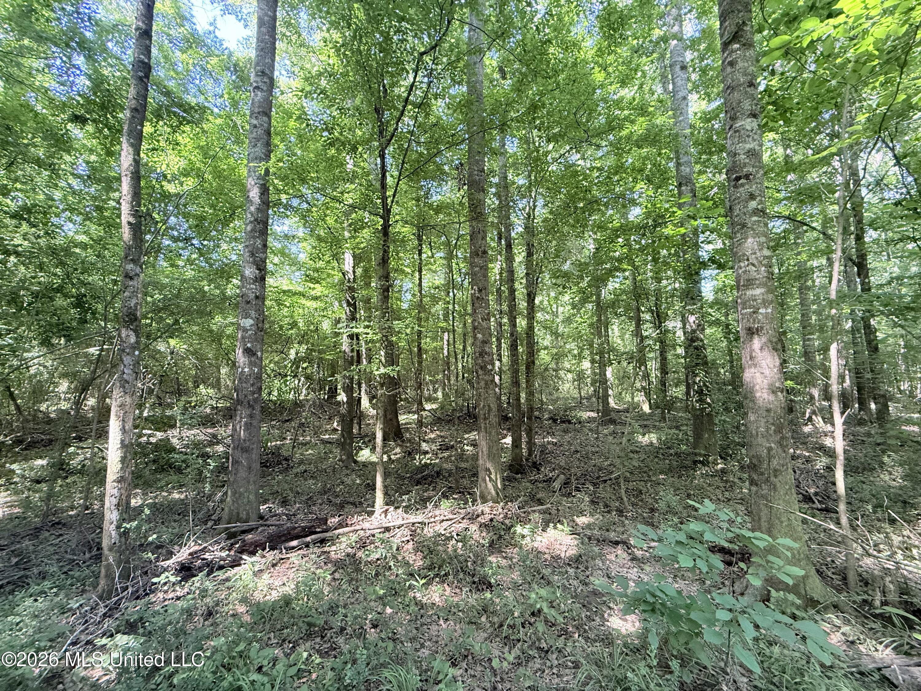 Jackson Liberty Drive Property Photo 14