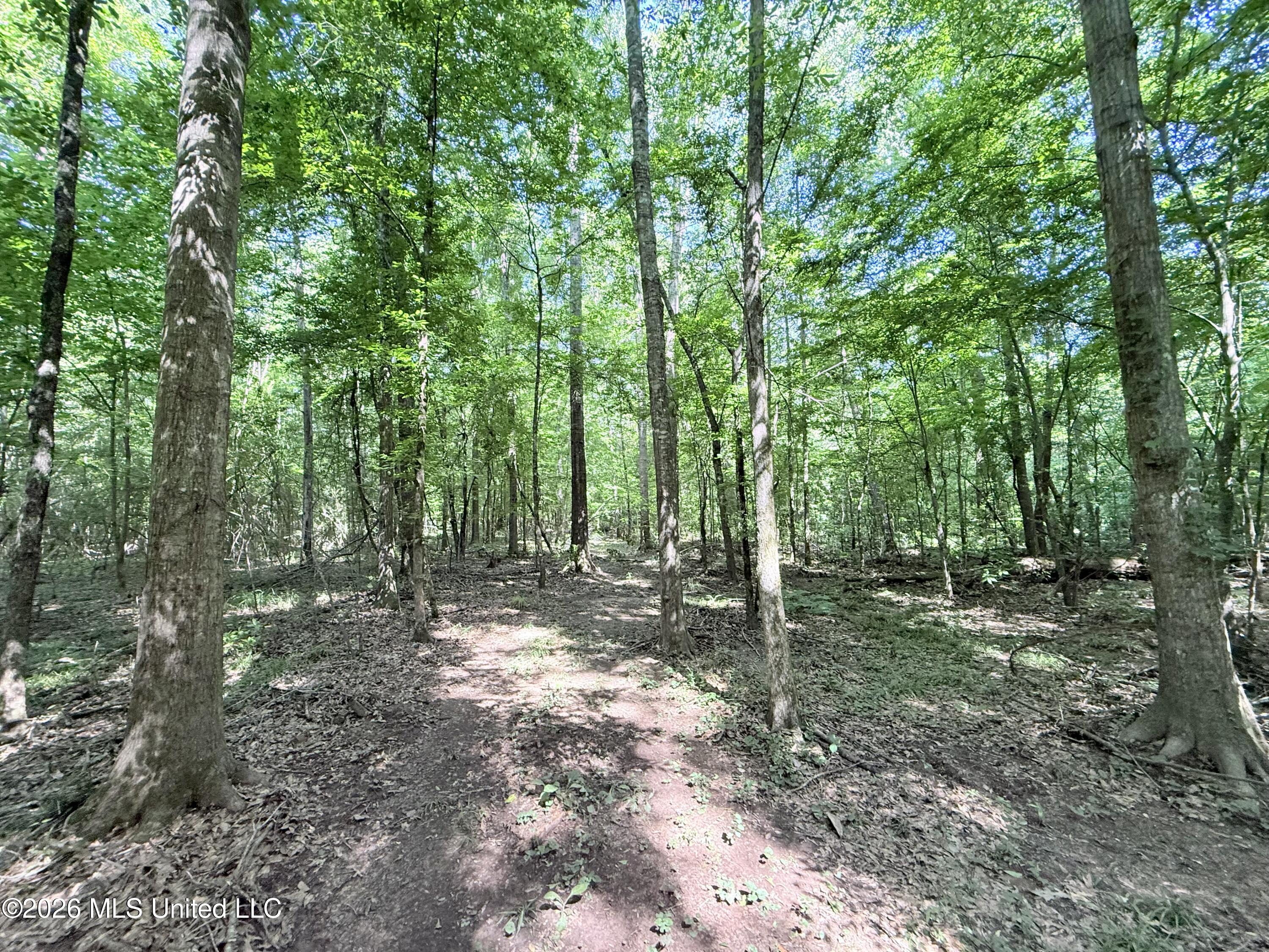 Jackson Liberty Drive Property Photo 15
