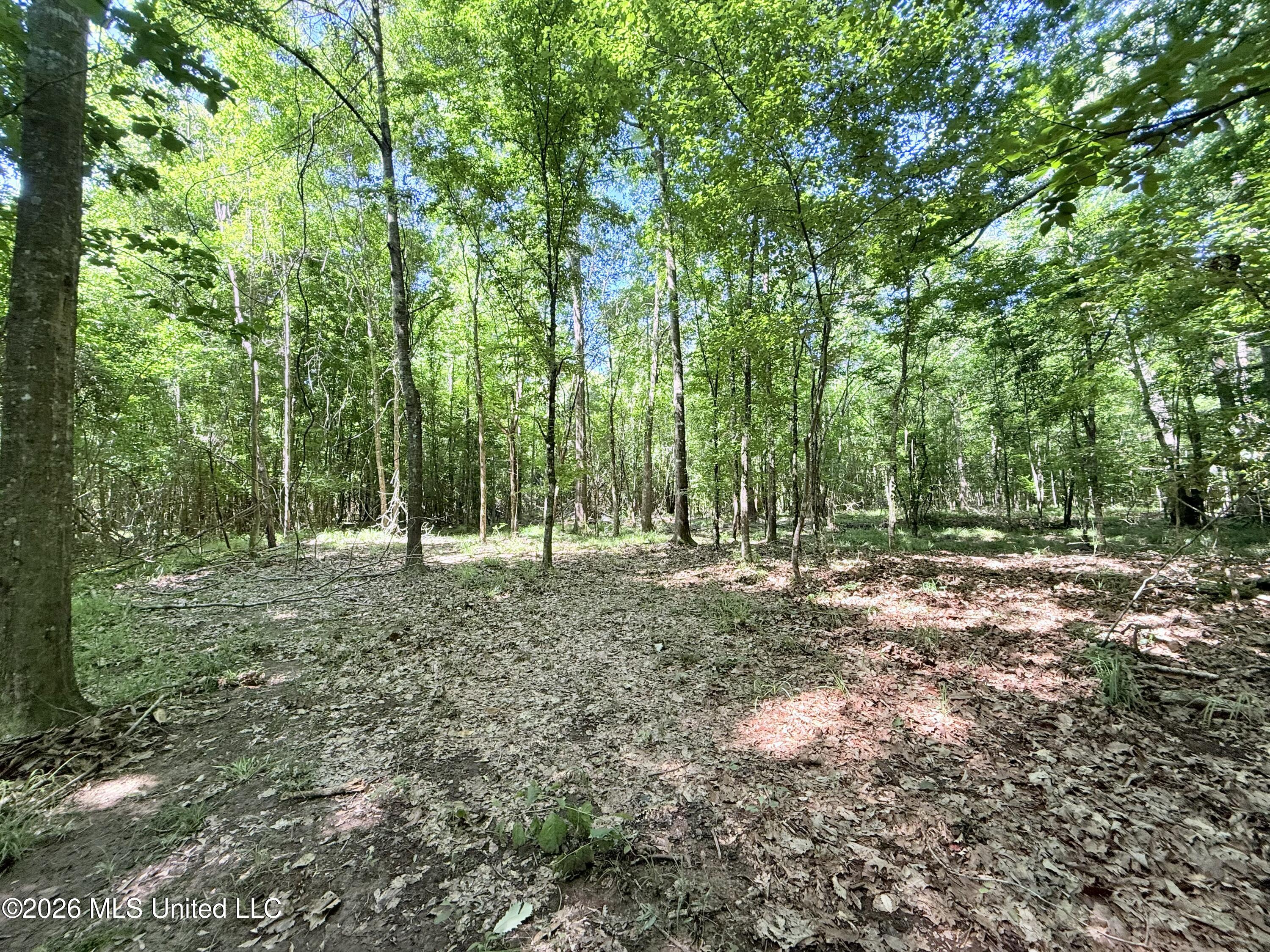 Jackson Liberty Drive Property Photo 16