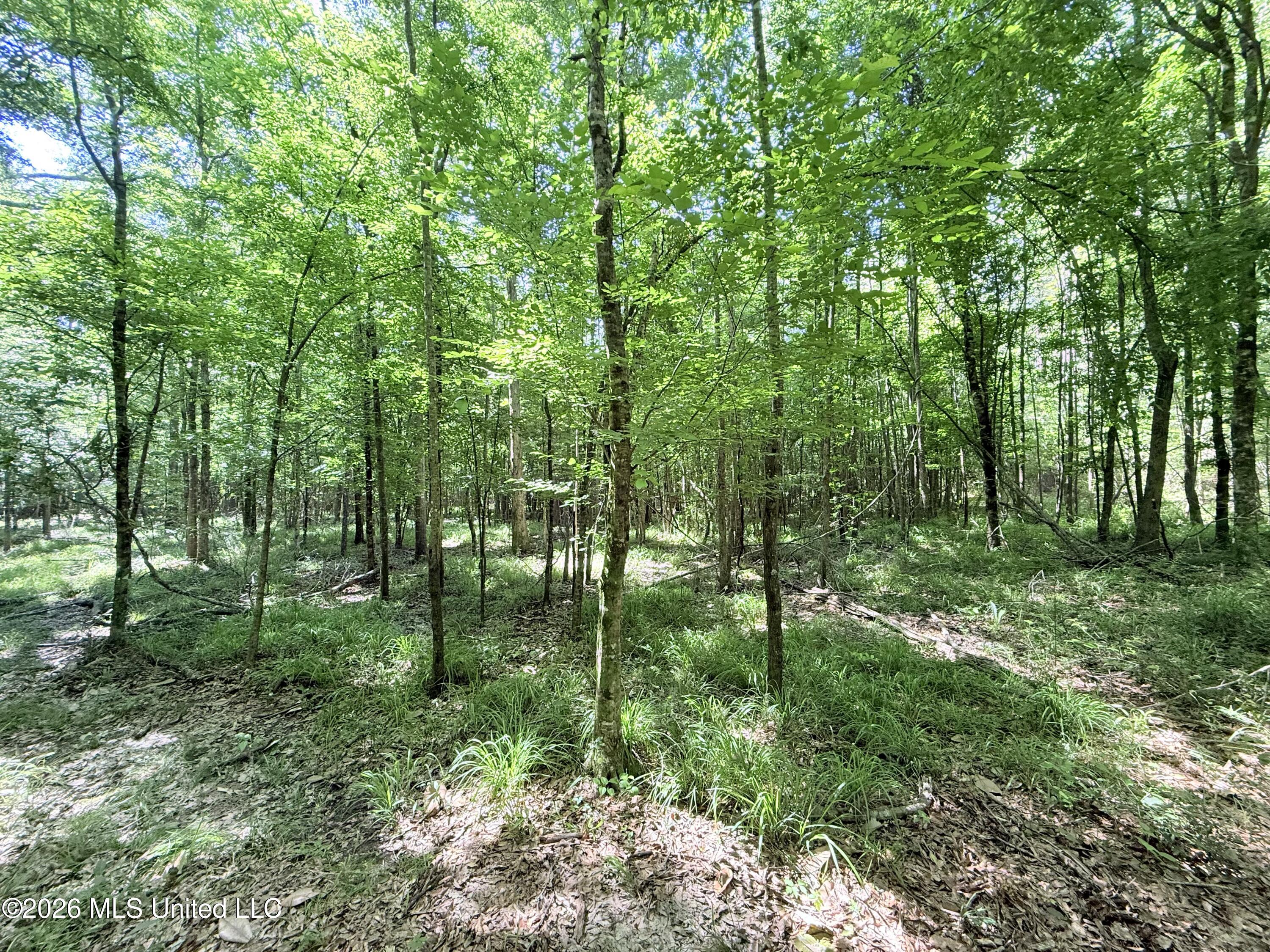 Jackson Liberty Drive Property Photo 17