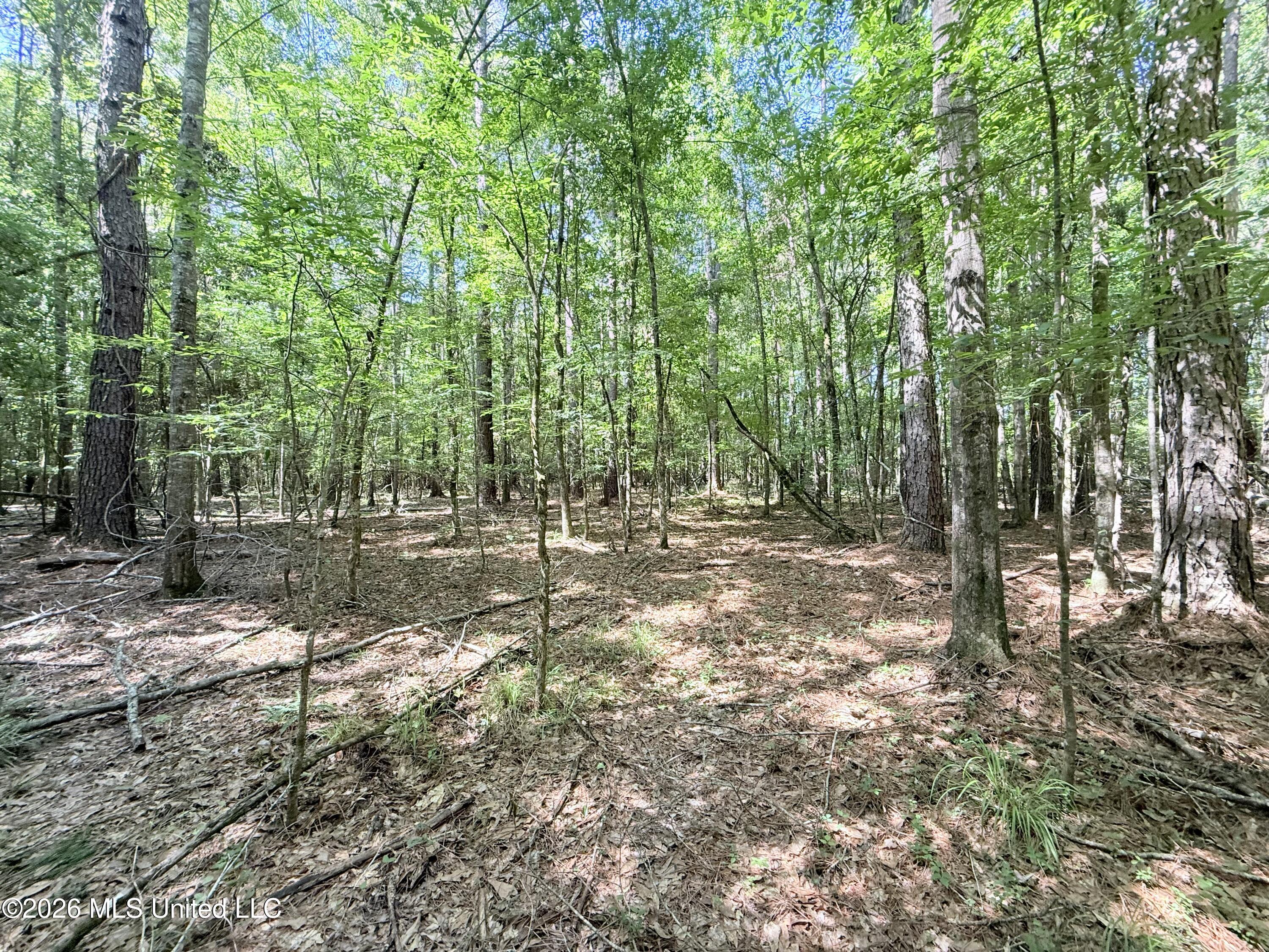 Jackson Liberty Drive Property Photo 19