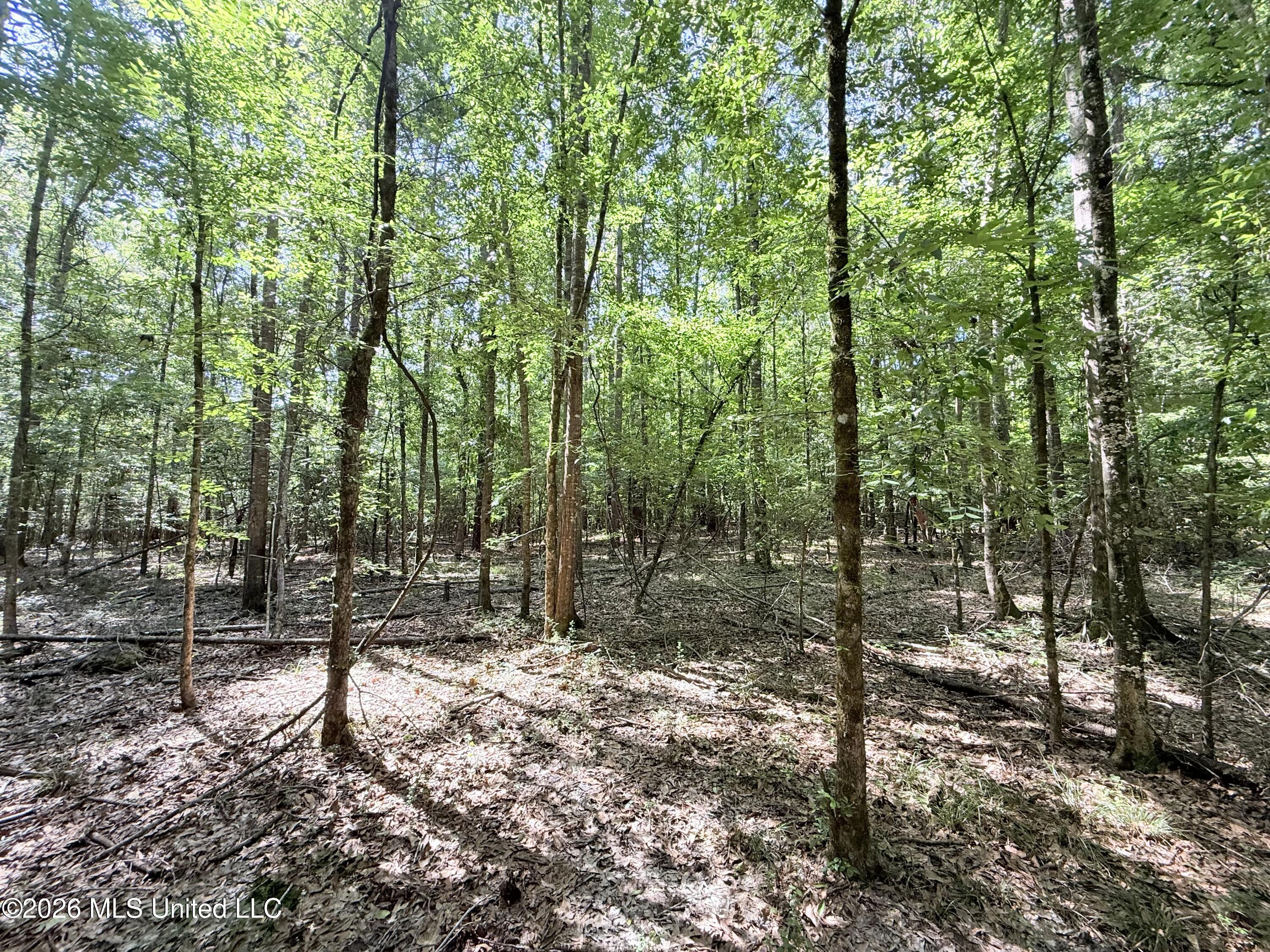 Jackson Liberty Drive Property Photo 20