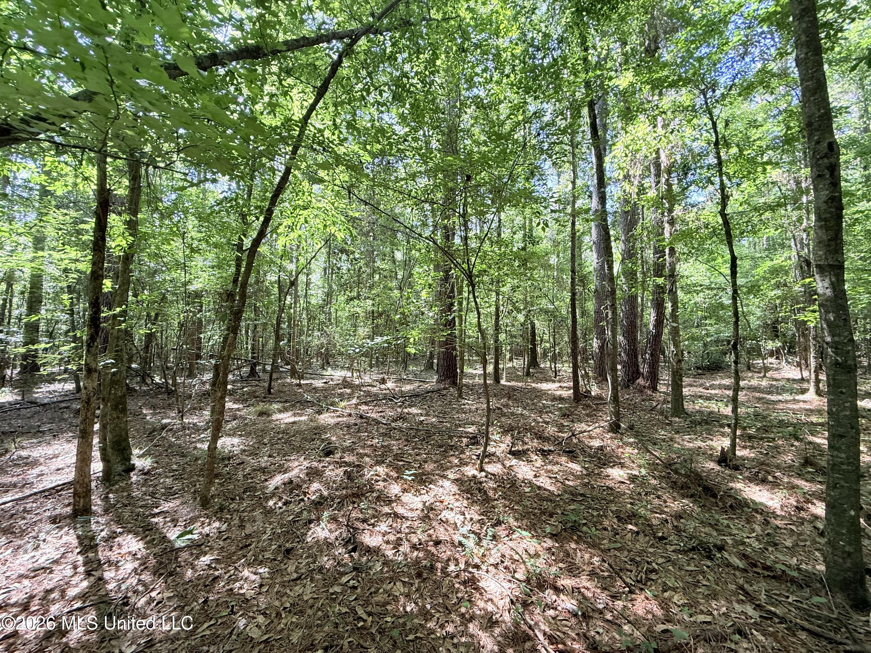Jackson Liberty Drive Property Photo 21