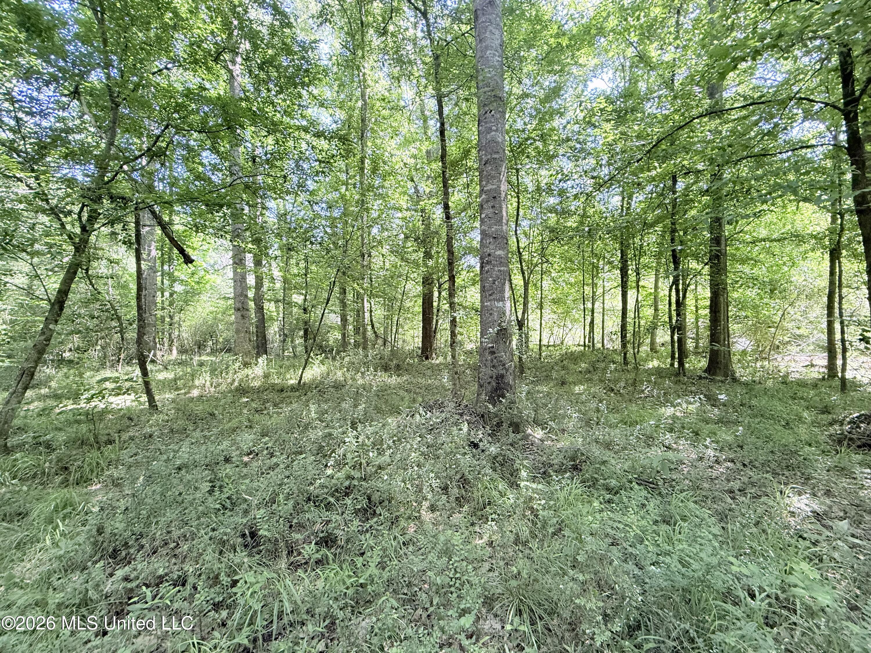 Jackson Liberty Drive Property Photo 23