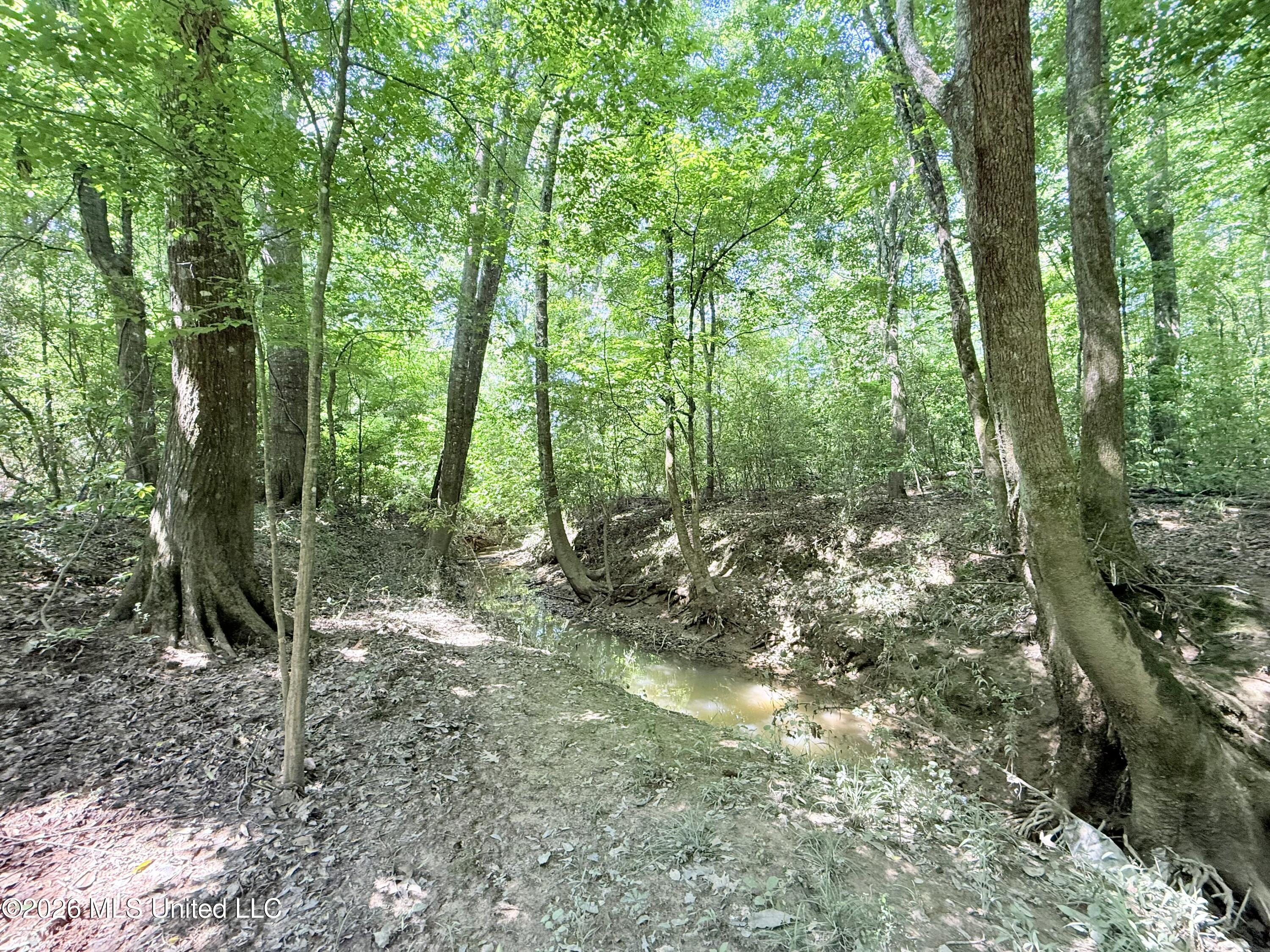 Jackson Liberty Drive Property Photo 24