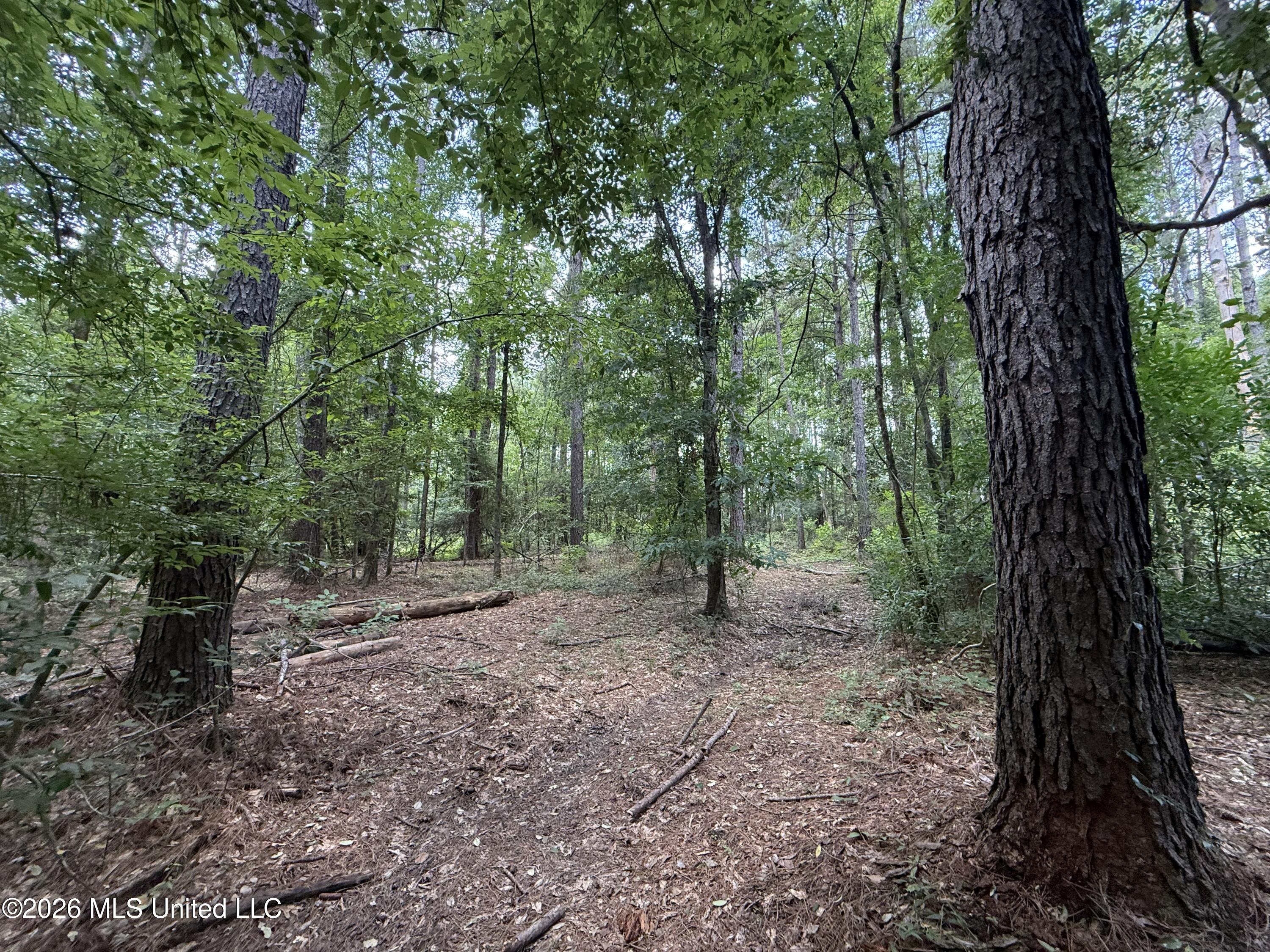 Jackson Liberty Drive Property Photo 26