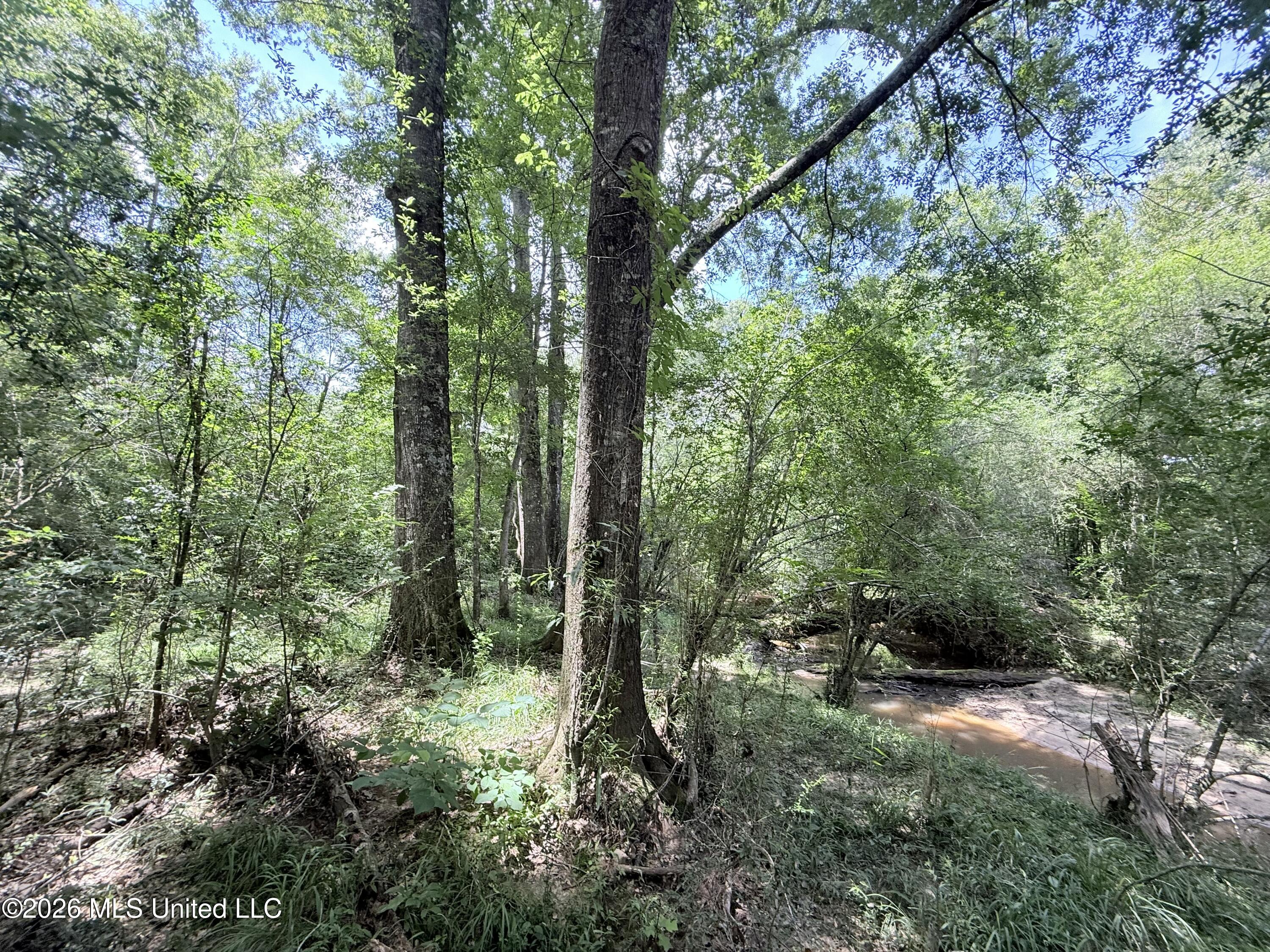 Jackson Liberty Drive Property Photo 32