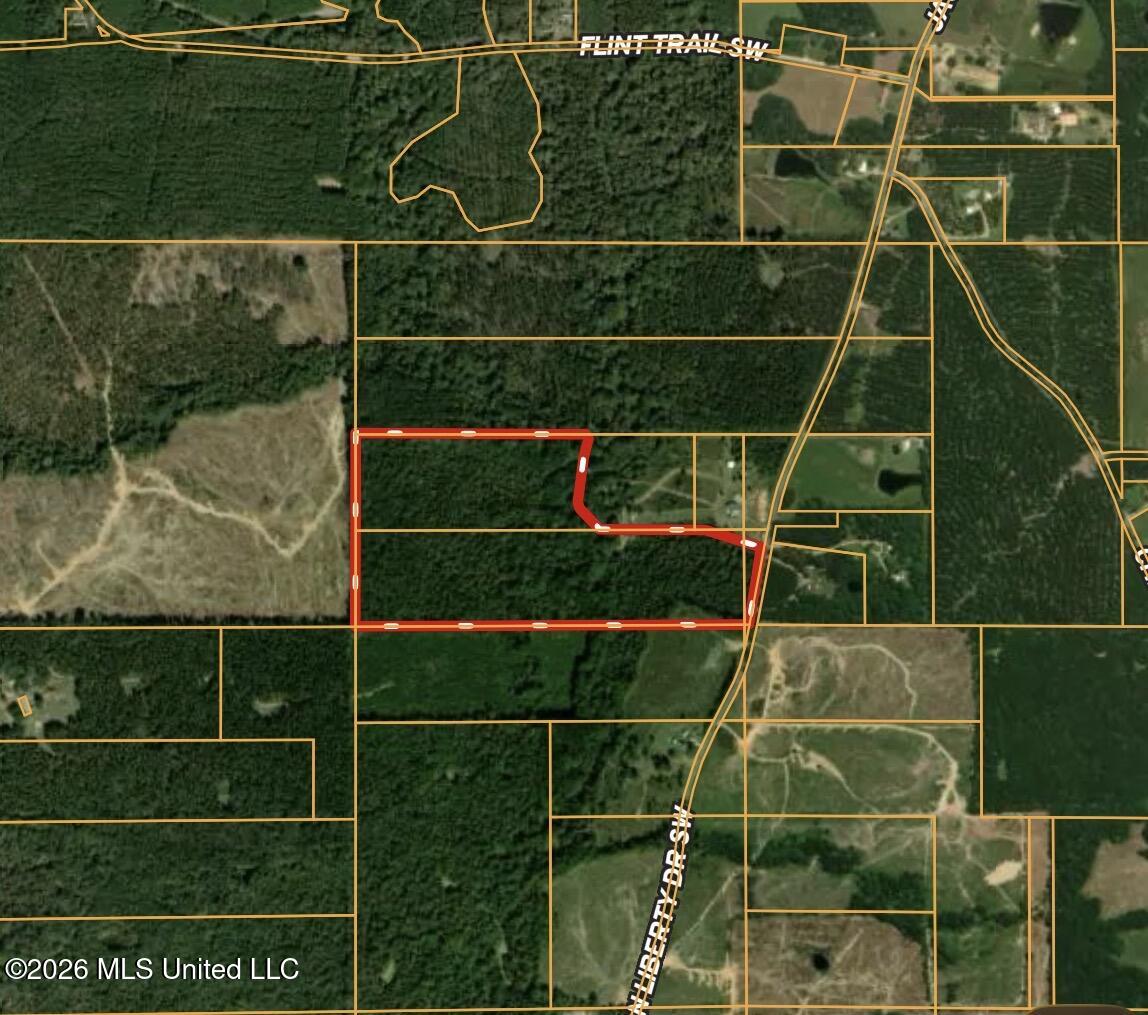 Jackson Liberty Drive Property Photo 35