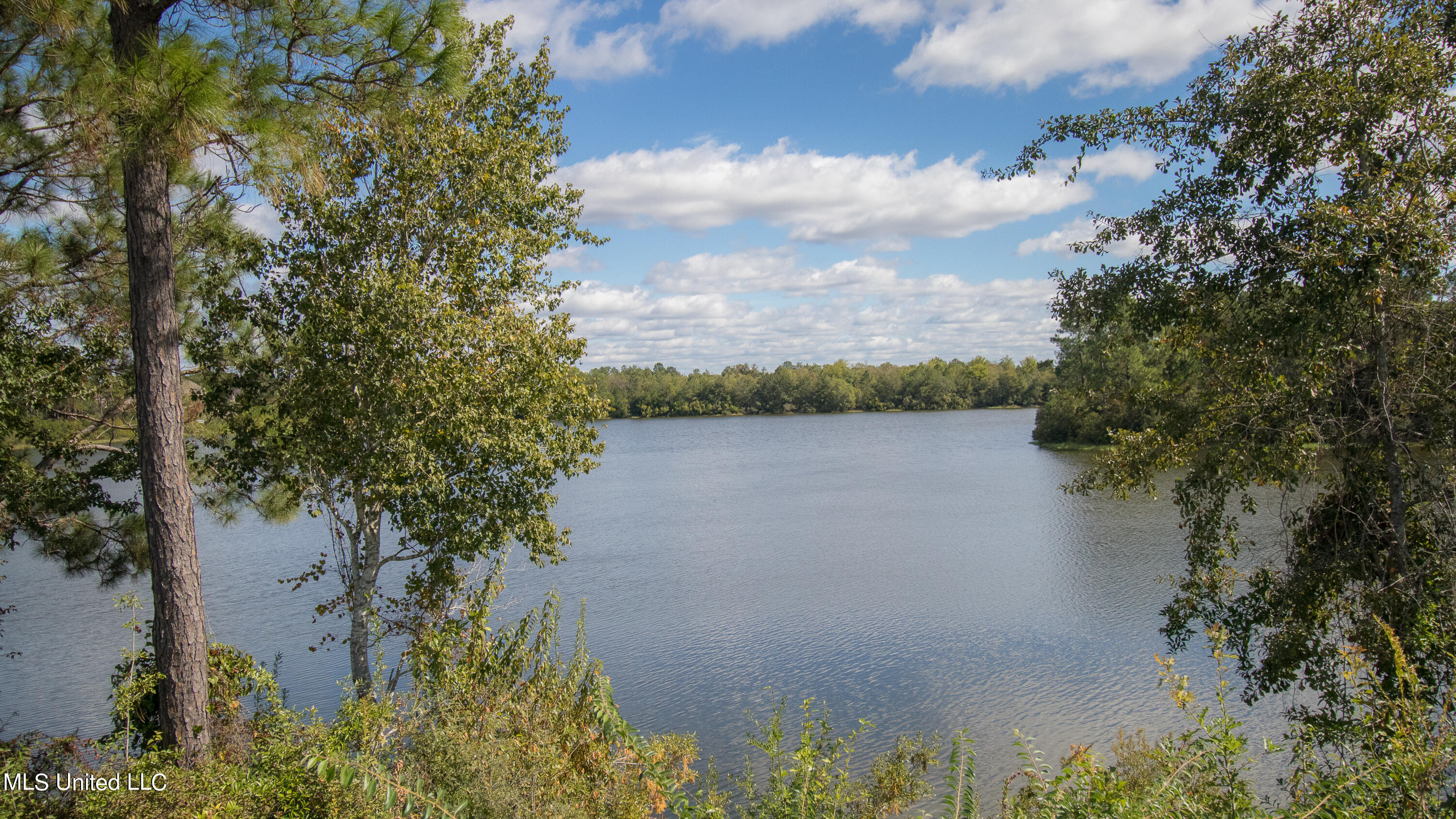 12537 Alphabet Road Property Photo 46