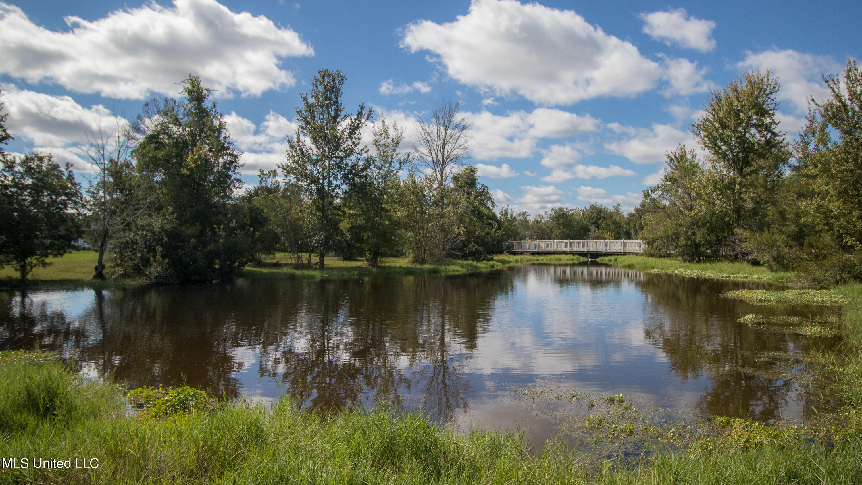 12537 Alphabet Road Property Photo 48