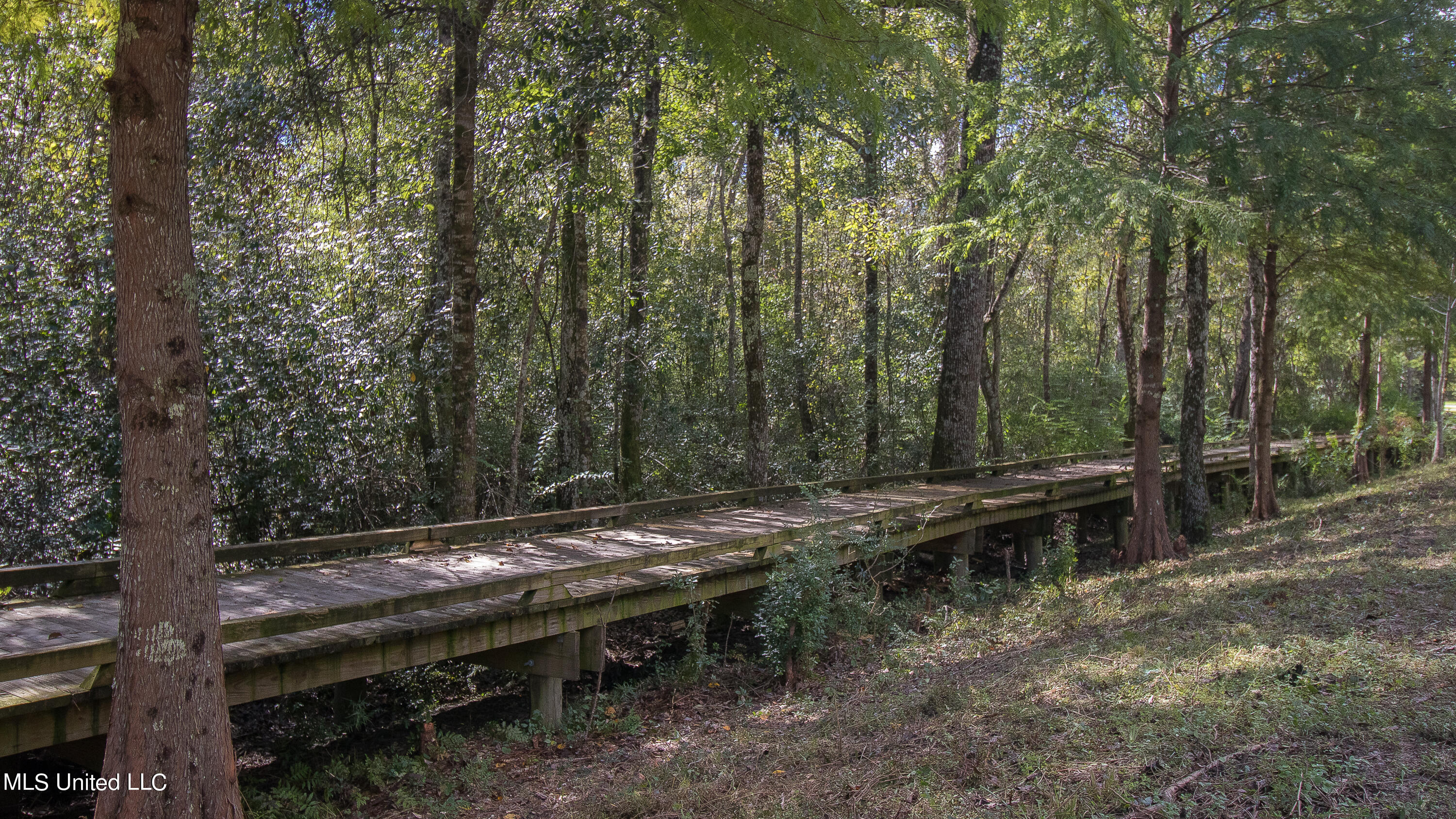 12537 Alphabet Road Property Photo 51