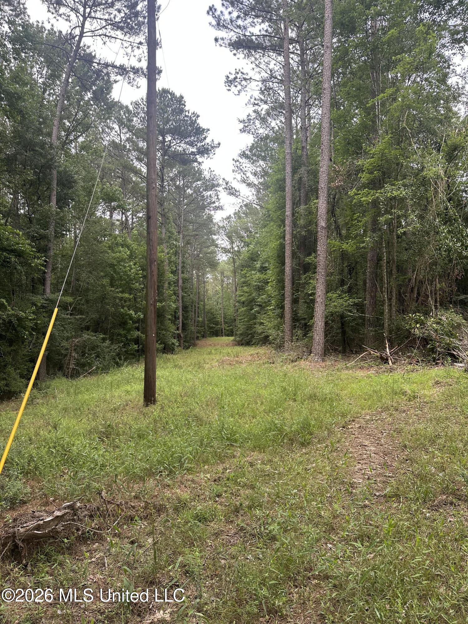U.s. 49 Property Photo 6