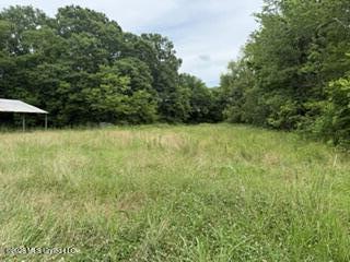 Highway 13 Property Photo 4
