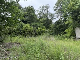 Highway 13 Property Photo 5