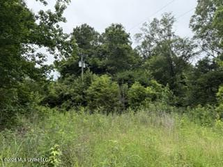 Highway 13 Property Photo 6