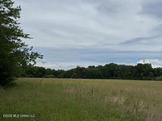 Highway 13 Property Photo 10