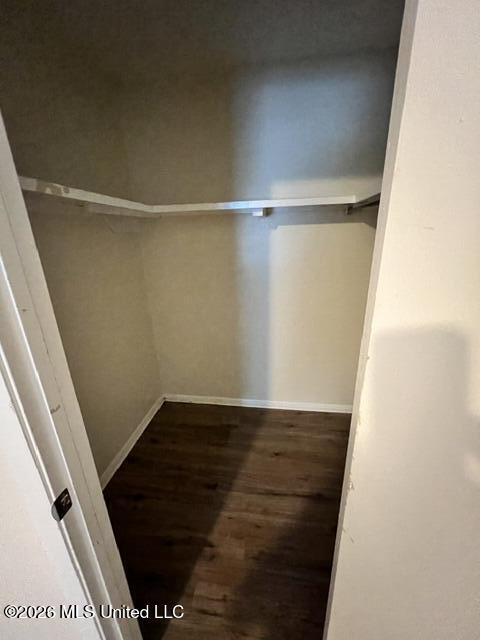 3305 Spruce Street Property Photo 7