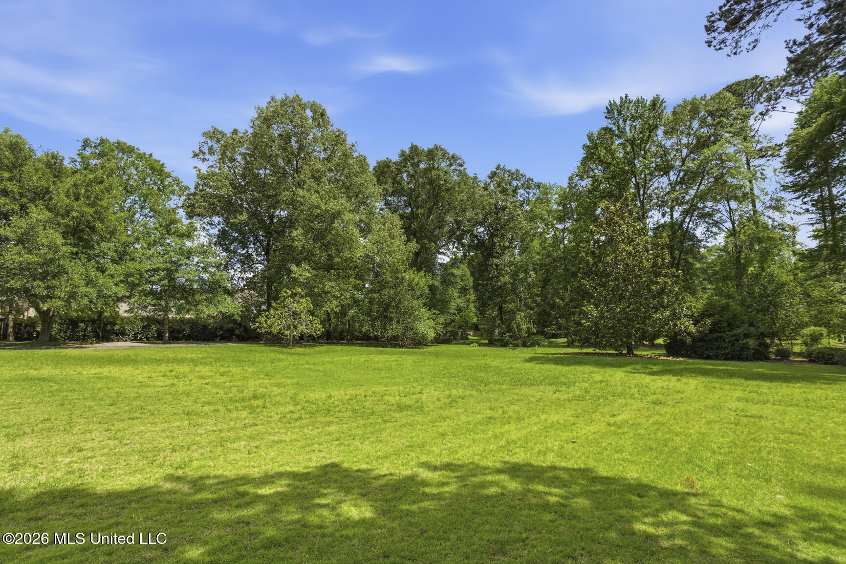 147 Chantilly Drive Property Photo 69