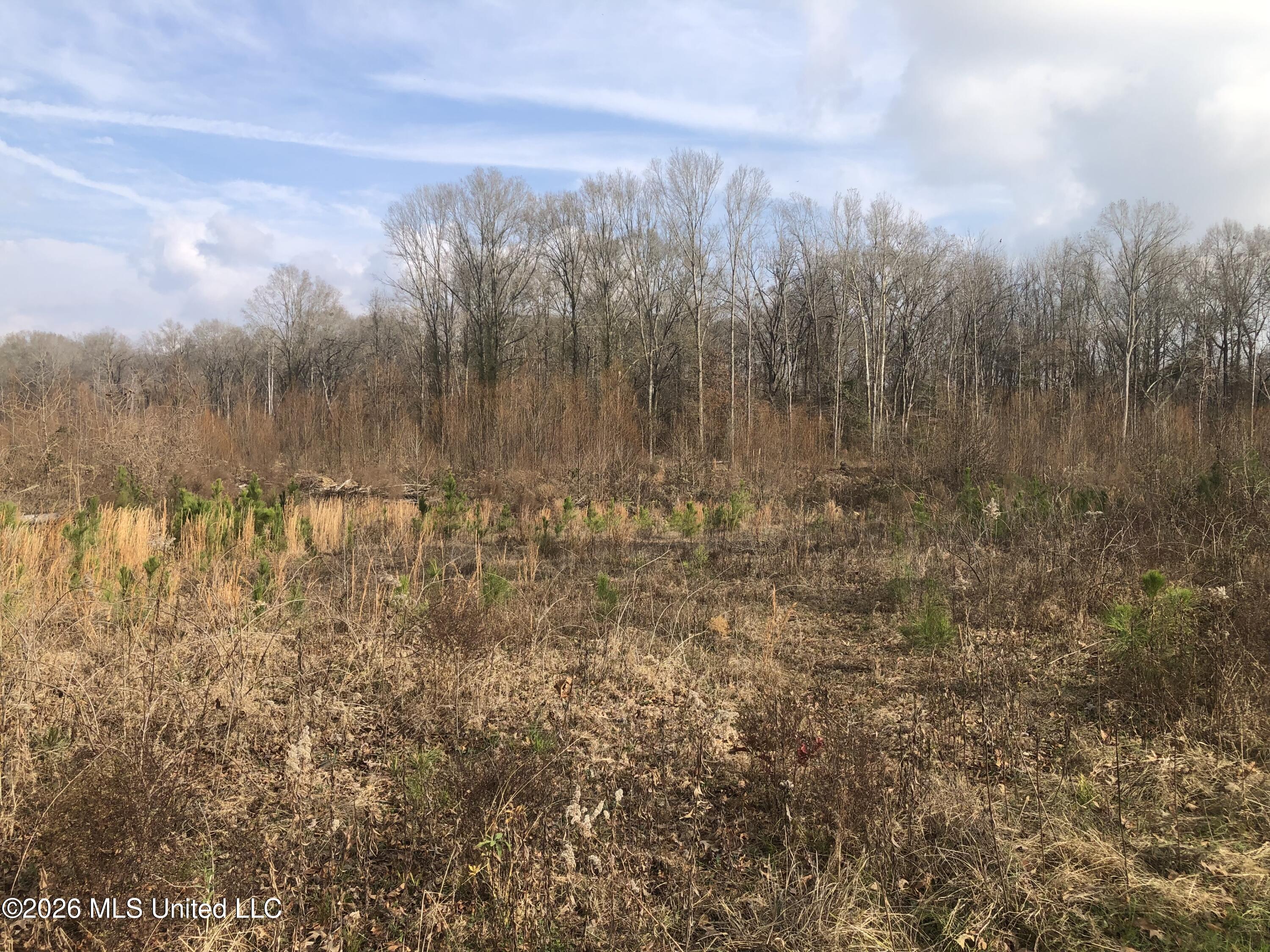 Tommy Ford Road Property Photo 6