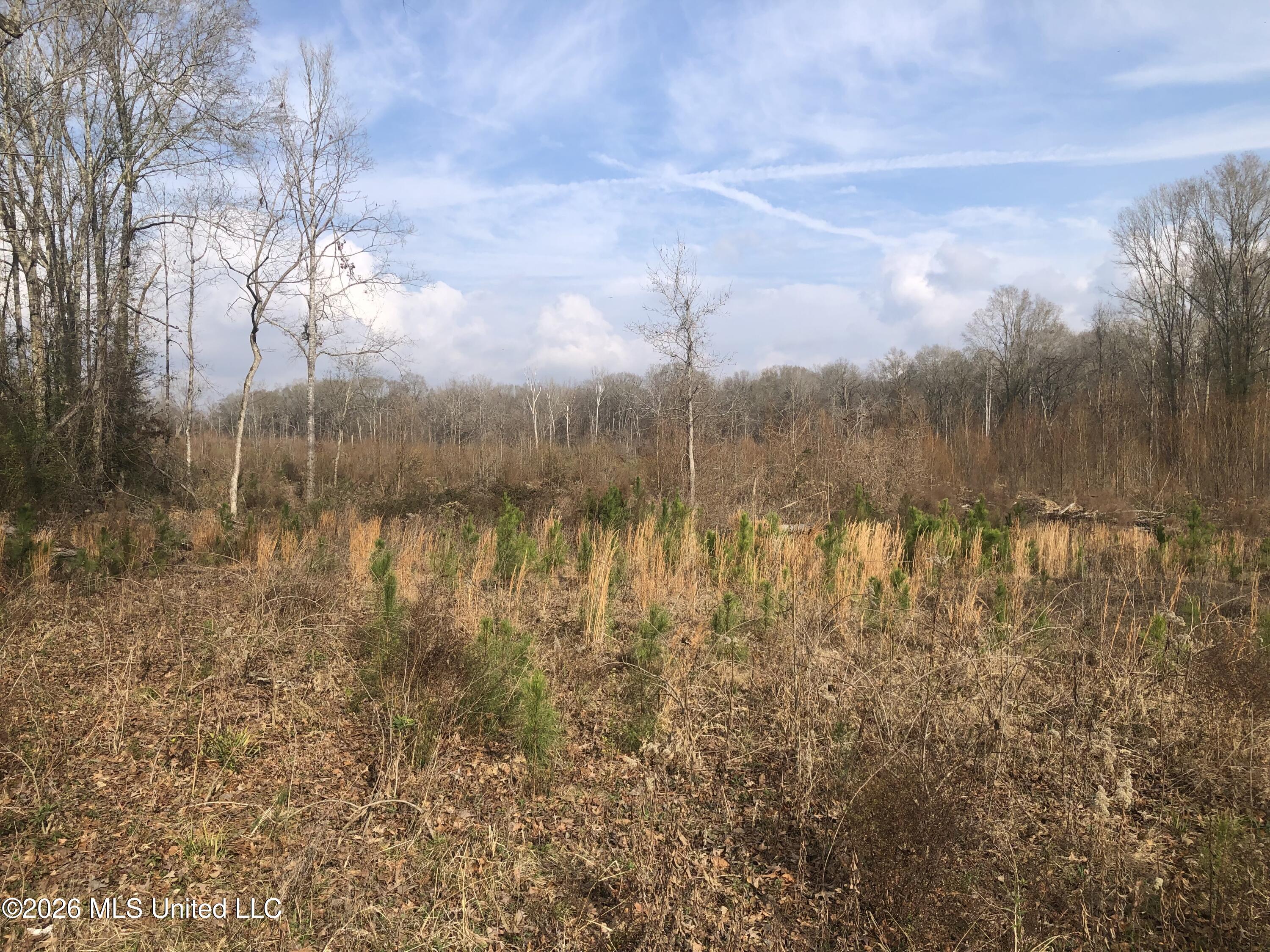 Tommy Ford Road Property Photo 7