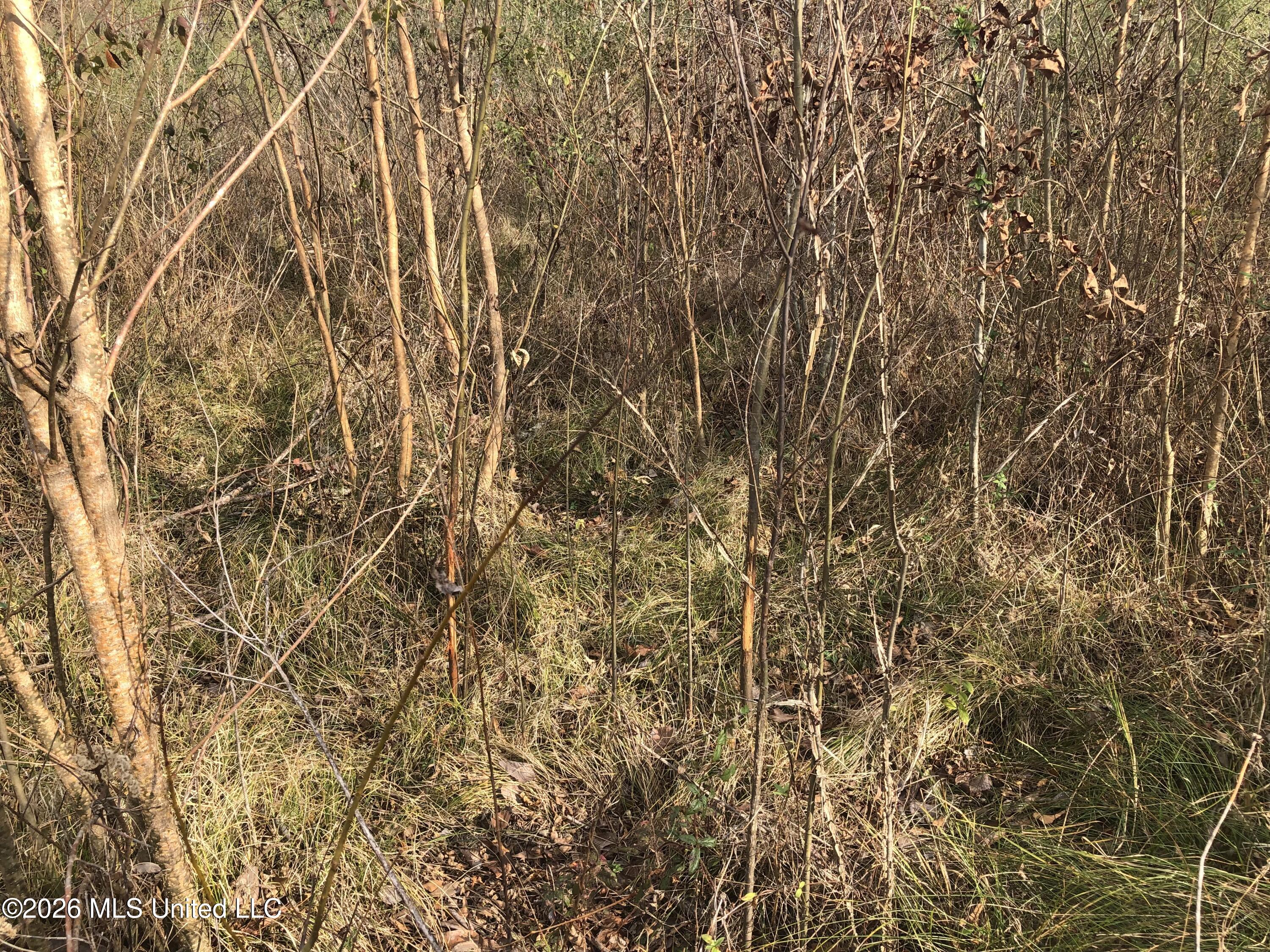 Tommy Ford Road Property Photo 9